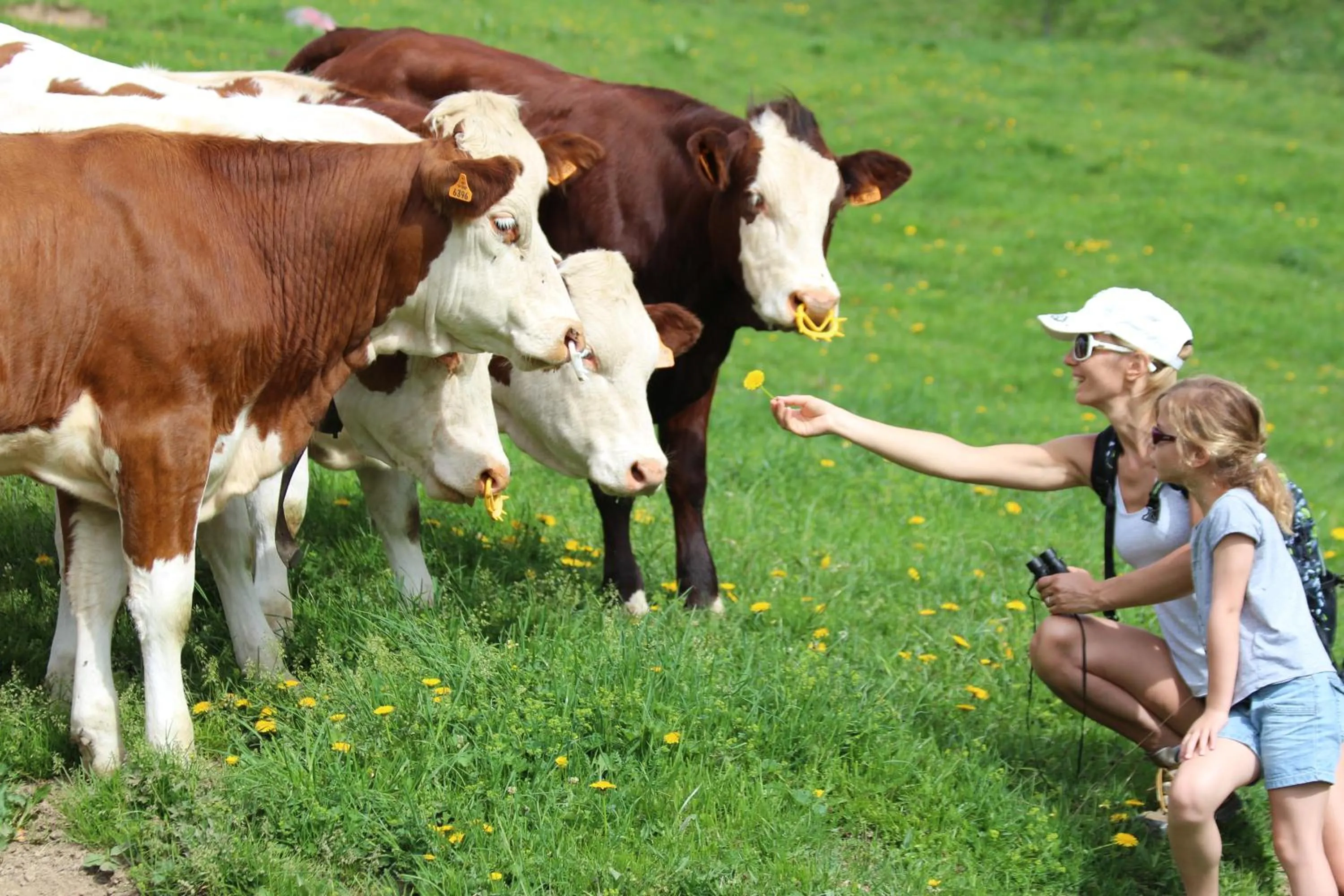 Hiking in Hotel Club Le Crêt