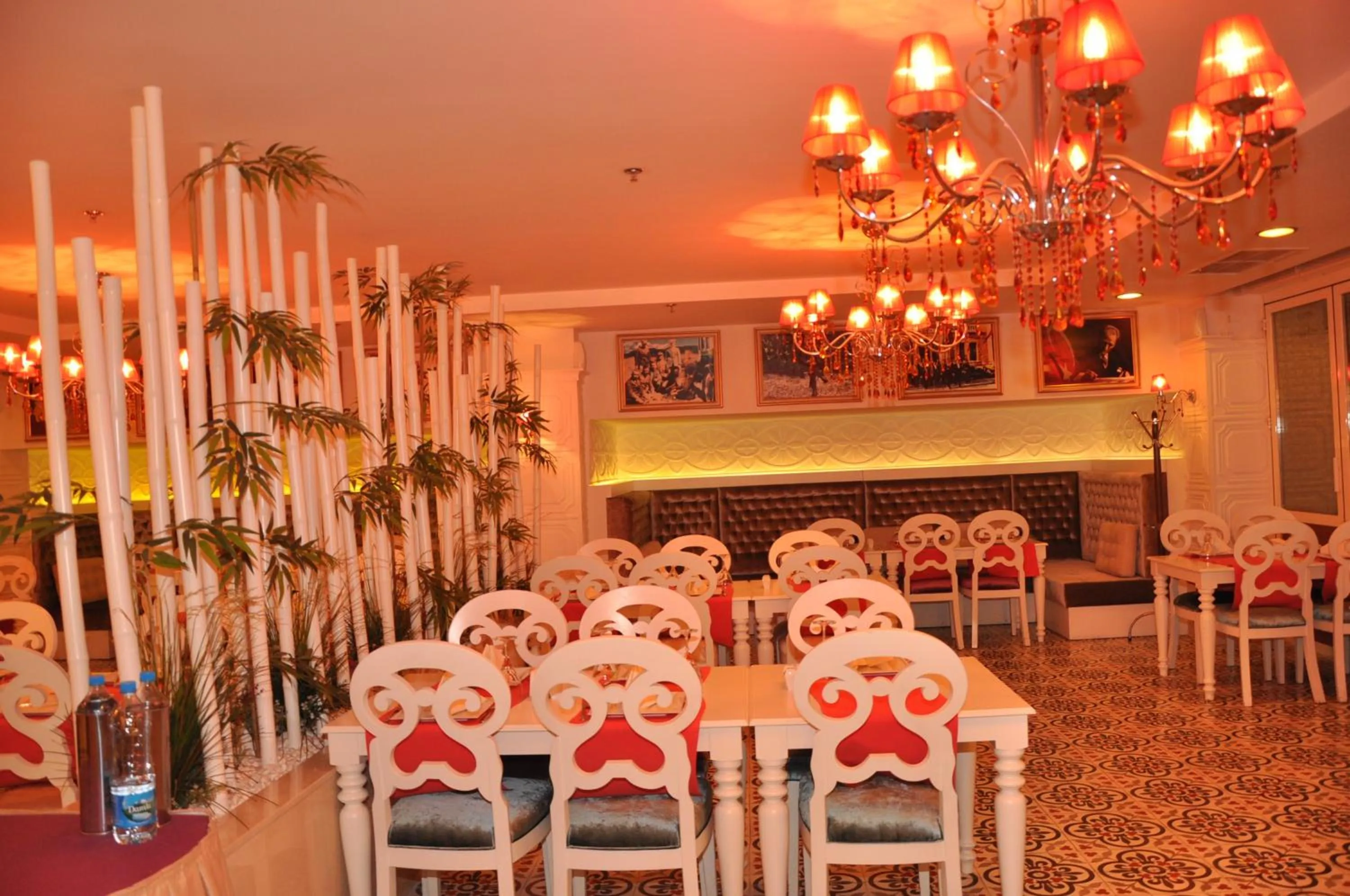 Restaurant/places to eat in Alba Hotel