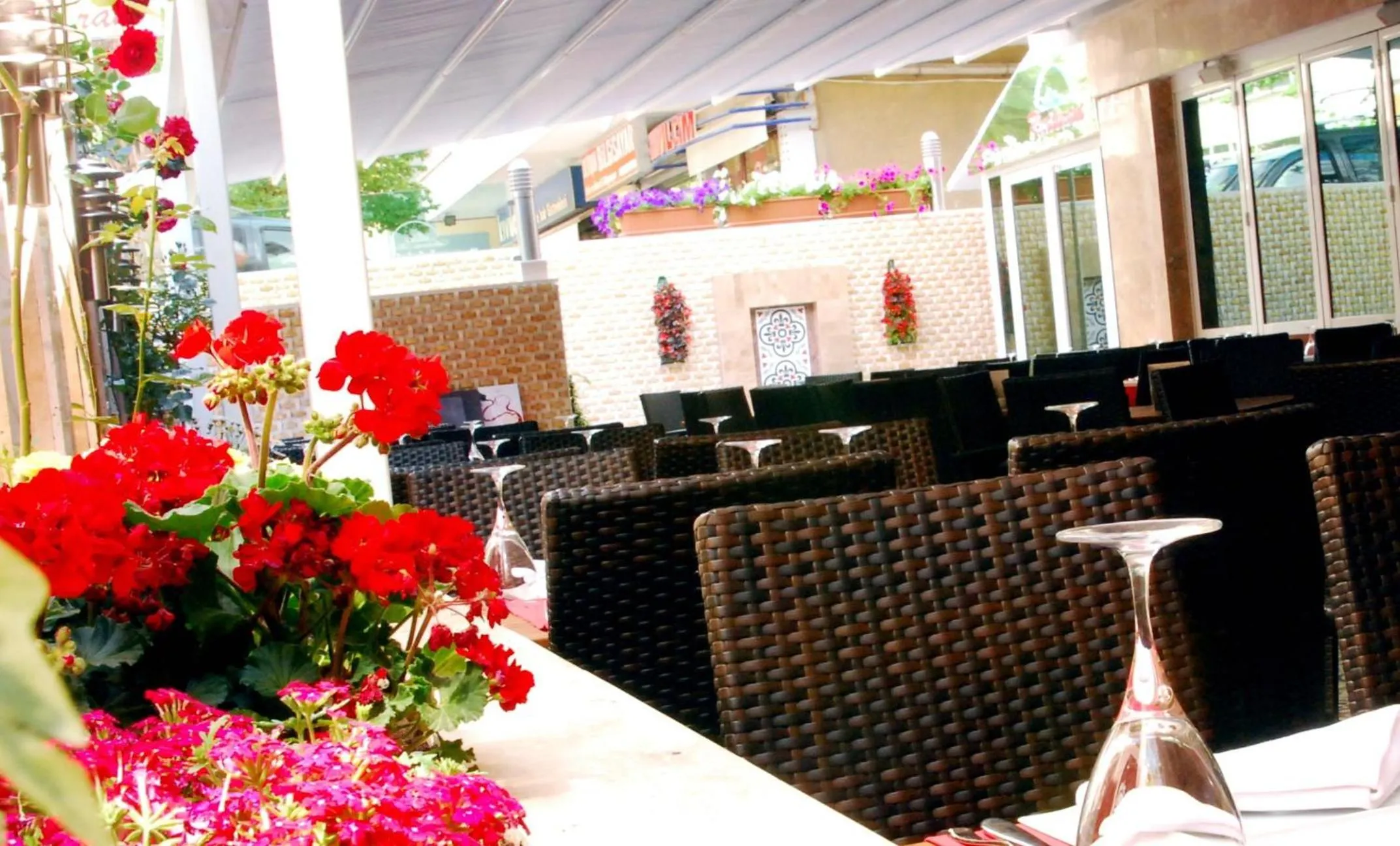 Restaurant/places to eat in Alba Hotel