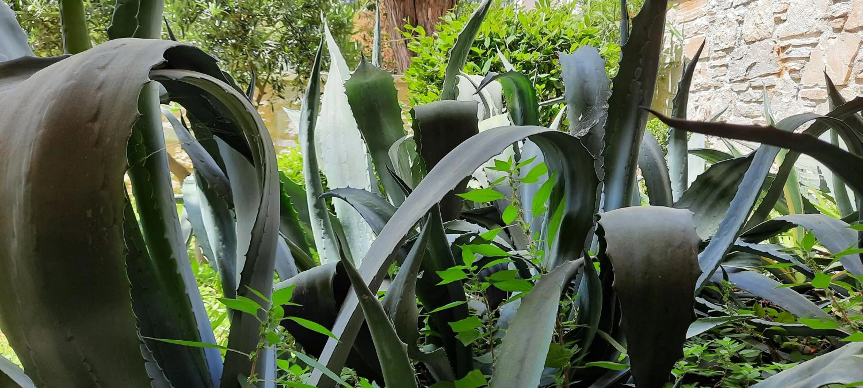 Olympic Fashion Hotels