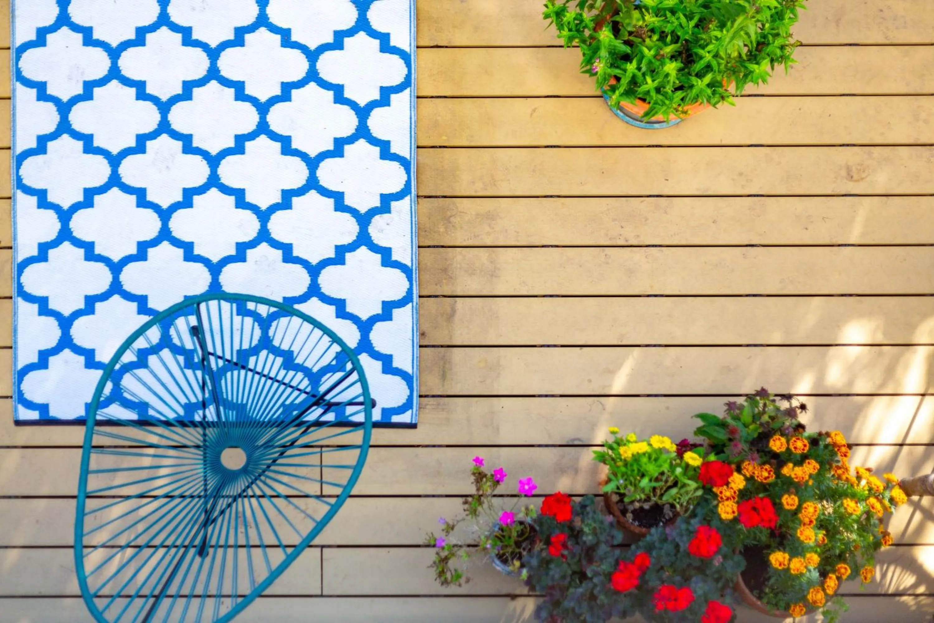 Garden in The rooms Bed & Breakfast