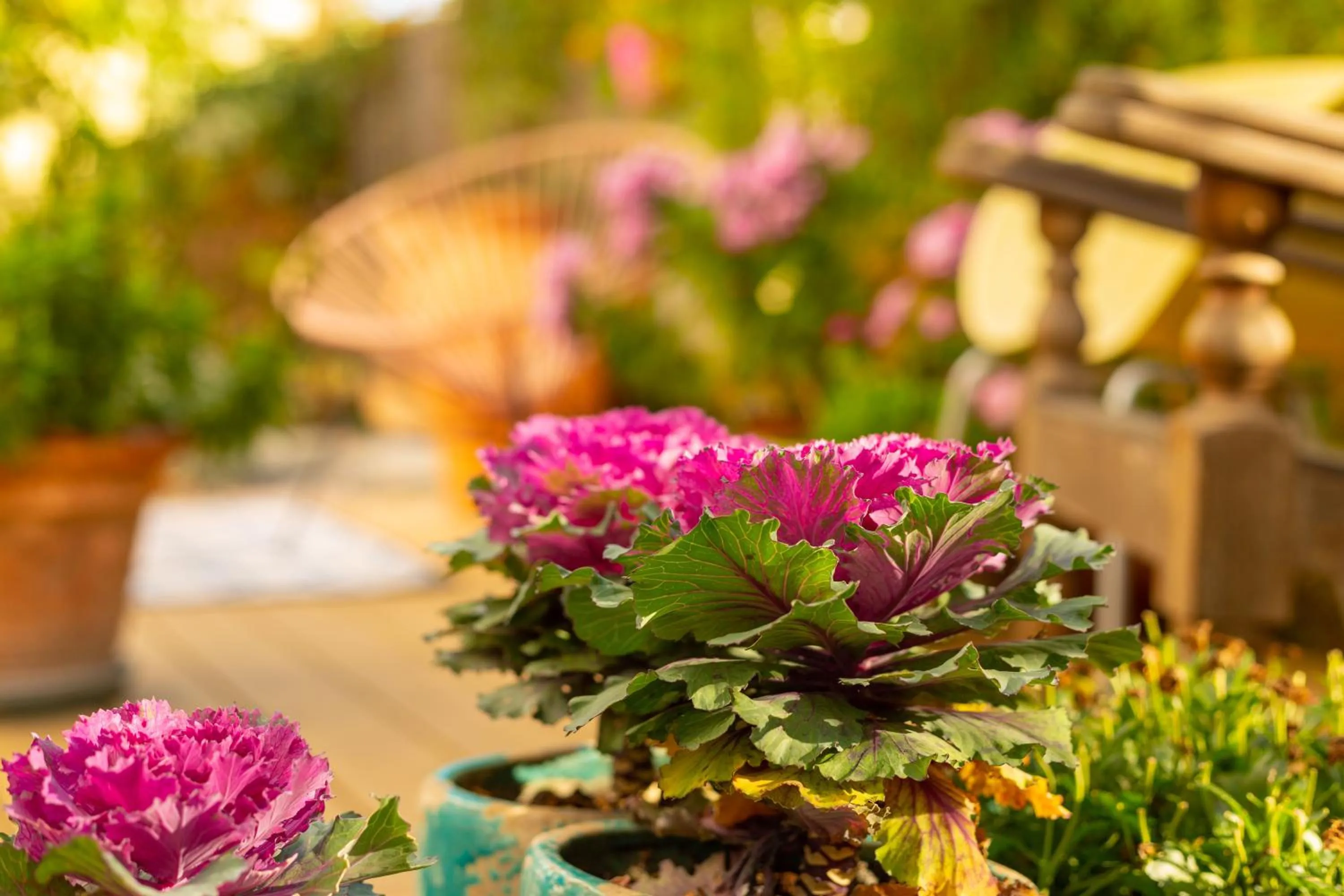 Property building in The rooms Bed & Breakfast