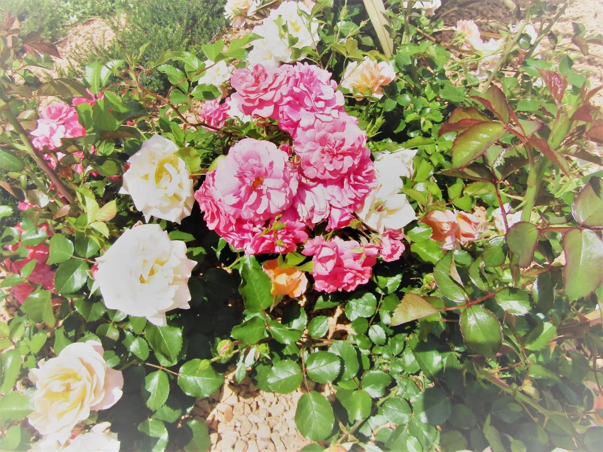 Property building in Il Batacchio B&B