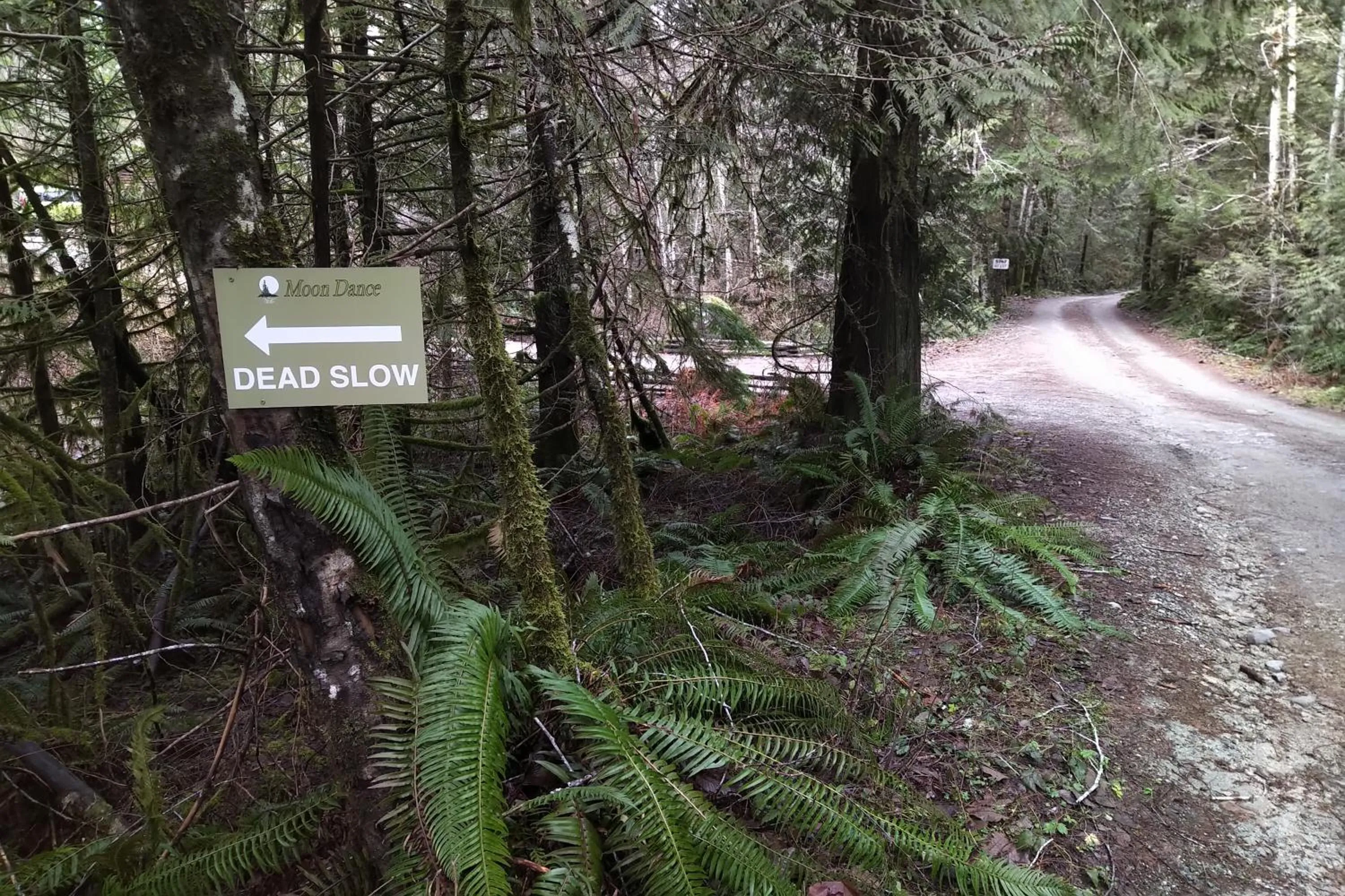 Other in The Perch at Moon Dance