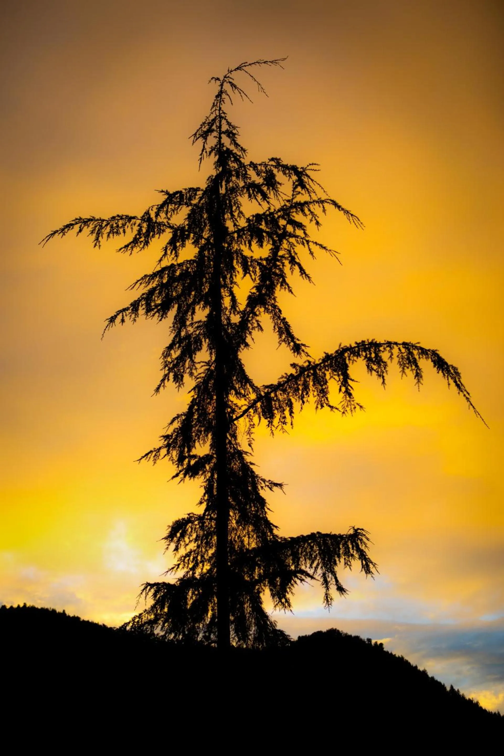 View (from property/room) in The Perch at Moon Dance