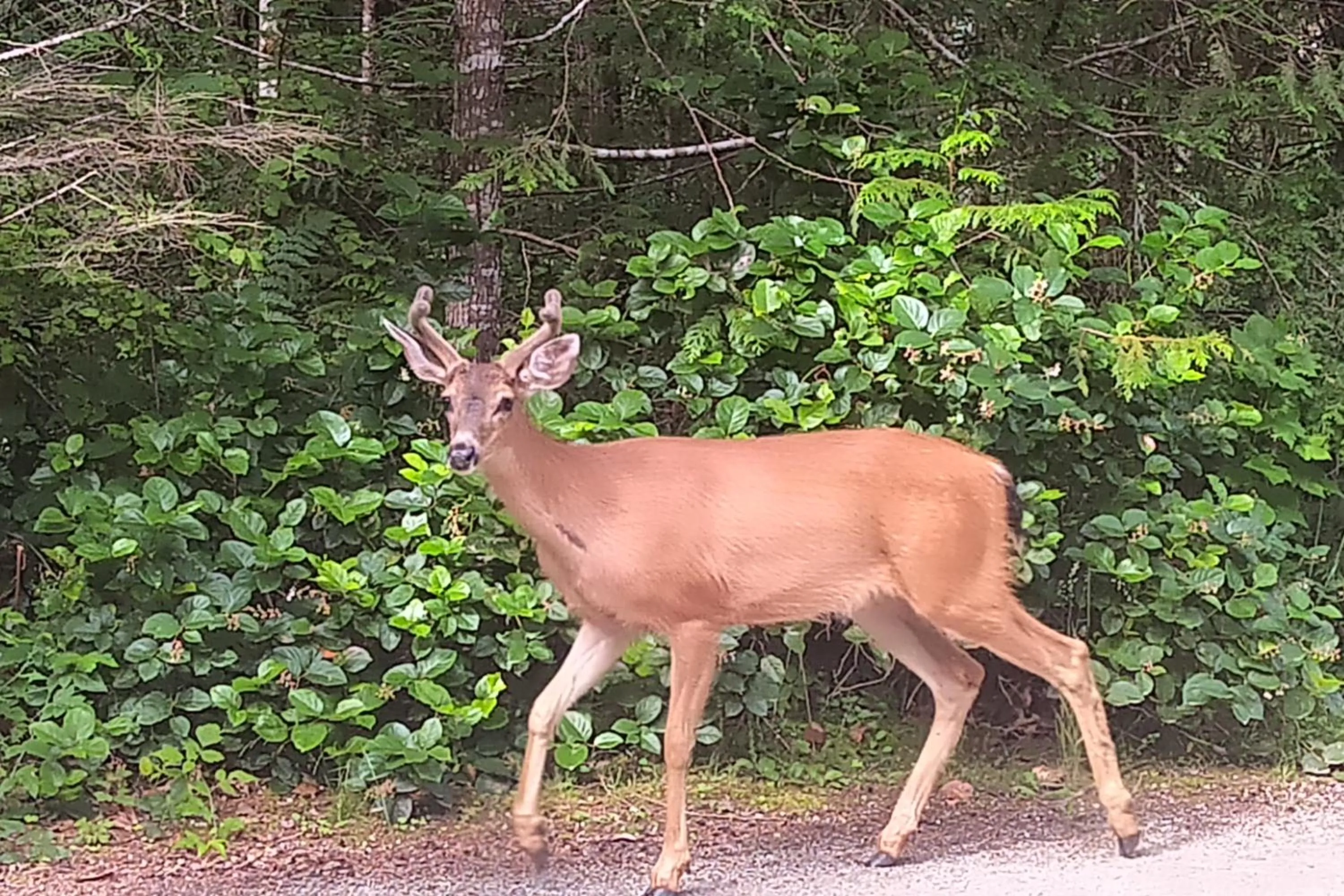Natural landscape in The Perch at Moon Dance