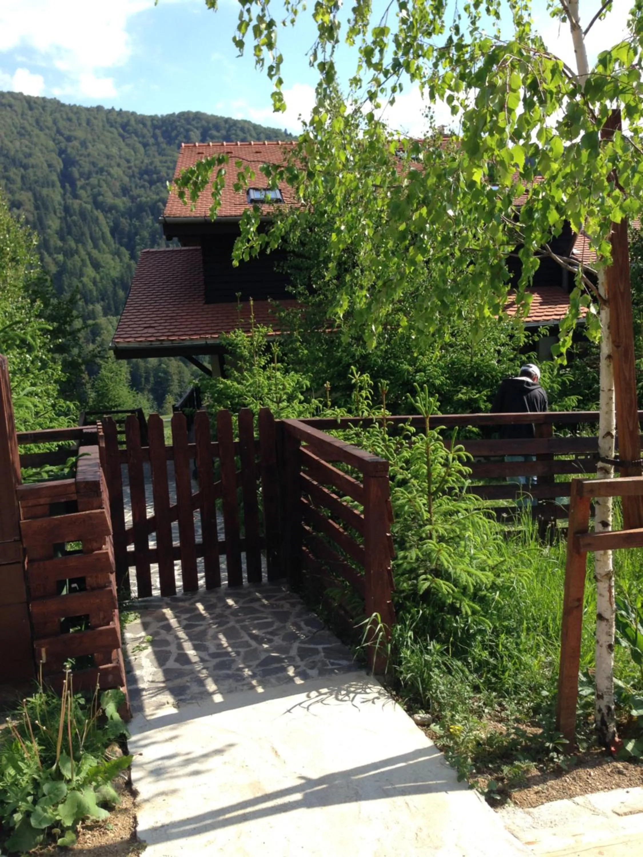 Andu's Chalet Azuga