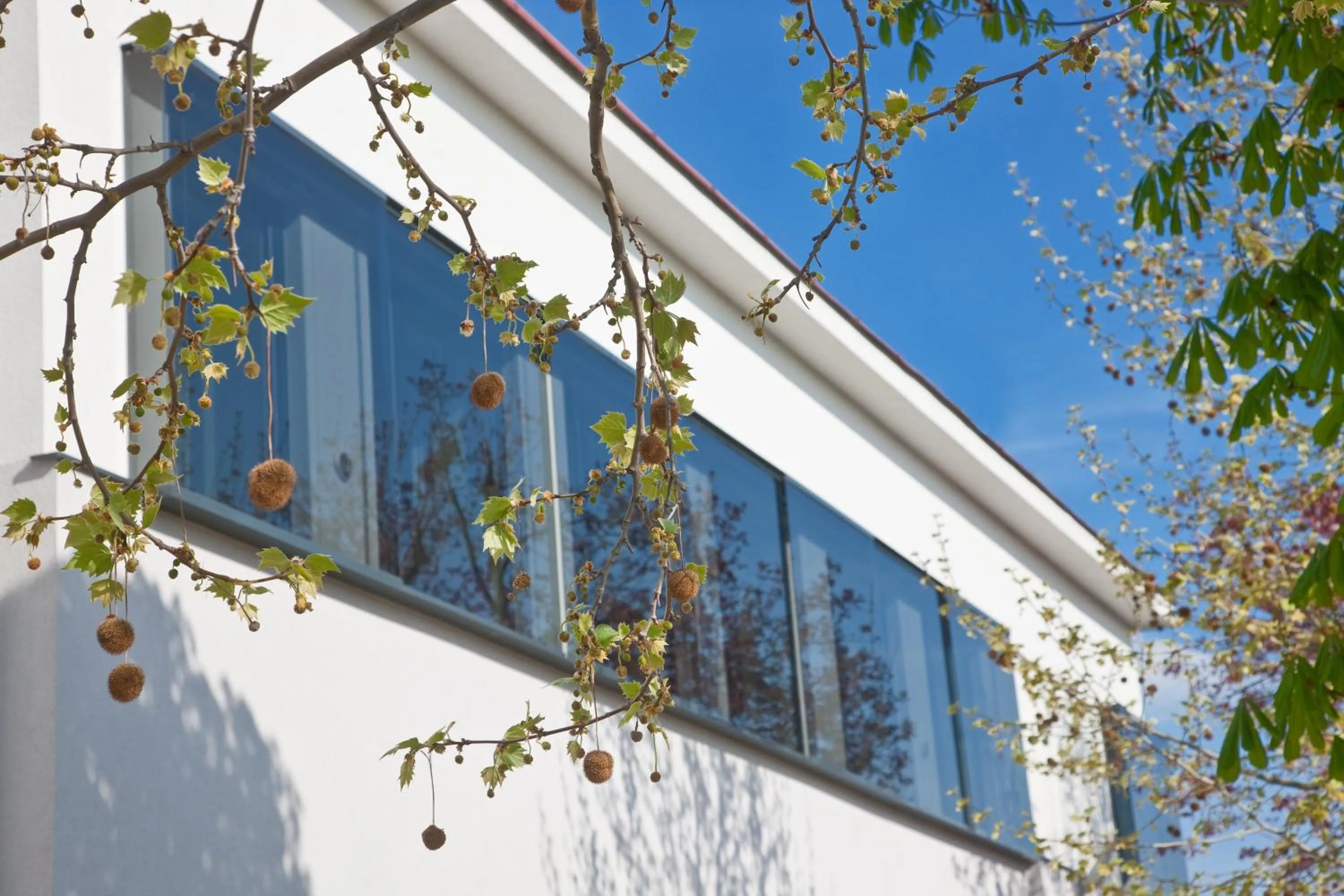 Facade/entrance in Strandhotel Alte Donau
