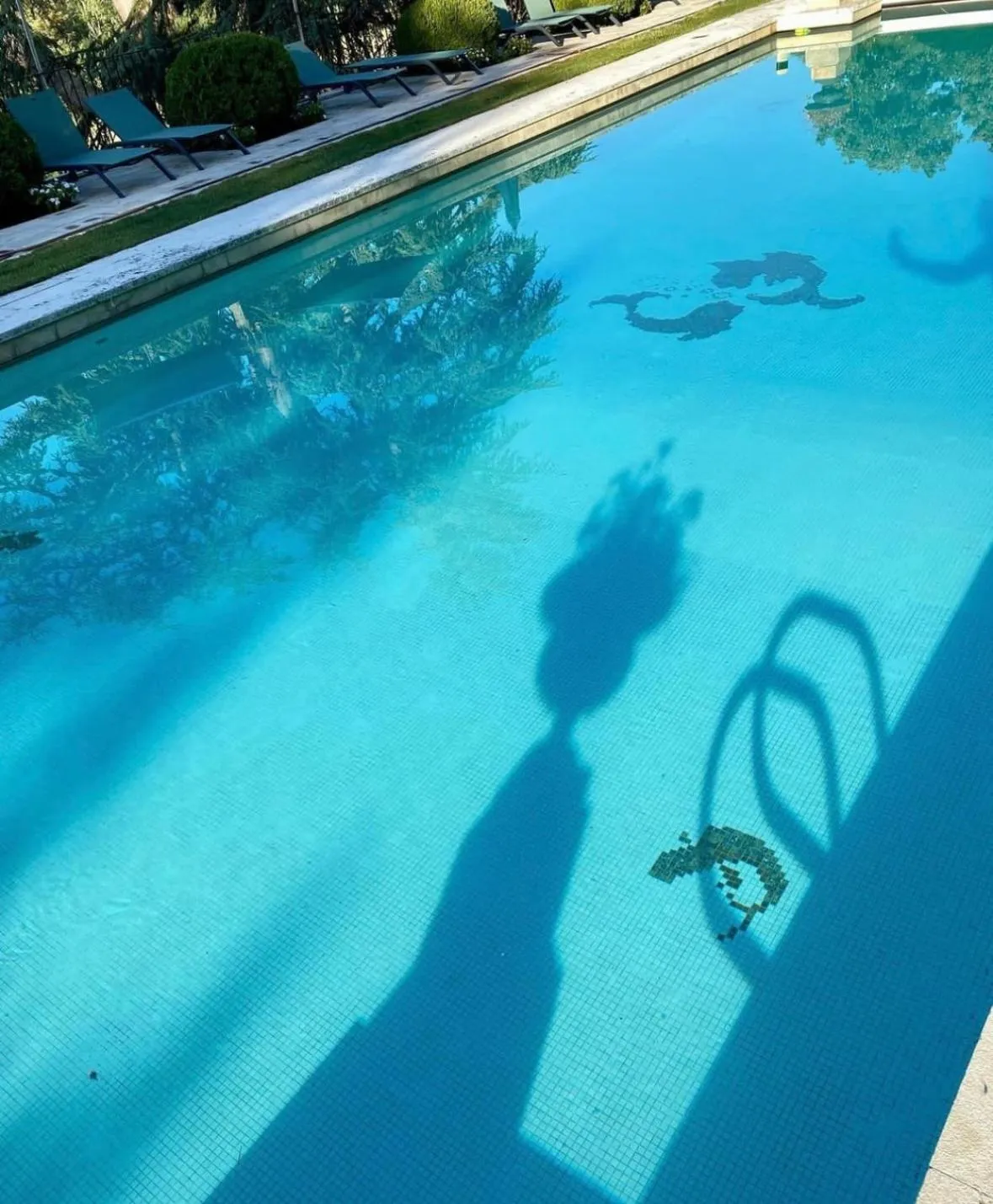 Swimming pool in Domaine Des Bidaudieres