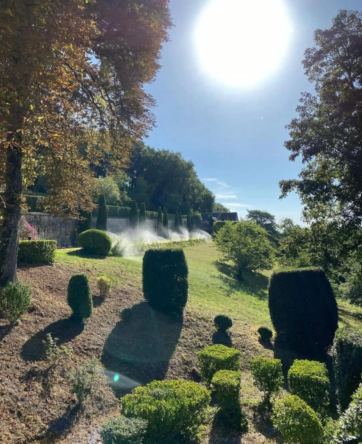 Garden view in Domaine Des Bidaudieres