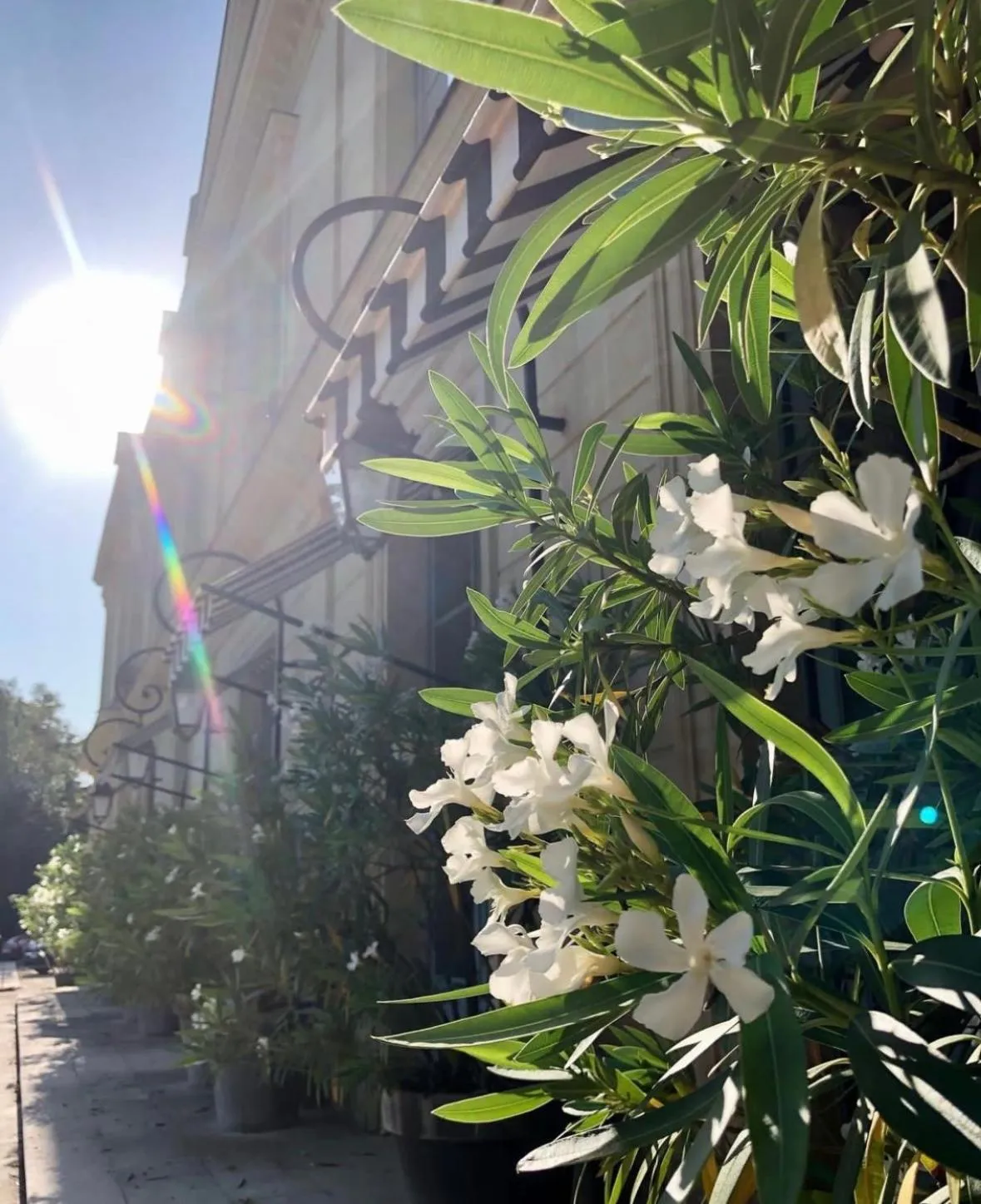 Domaine Des Bidaudieres