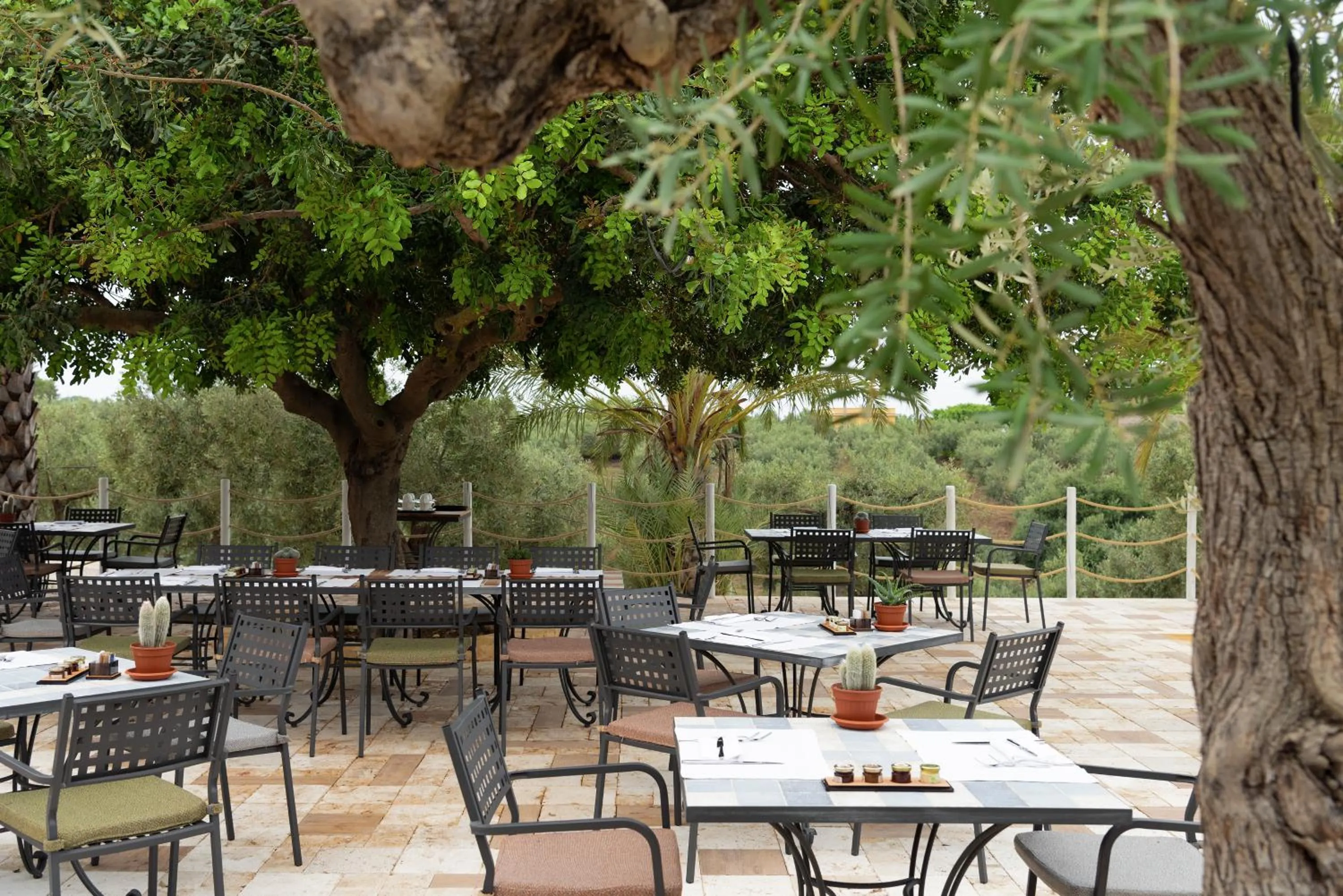 Restaurant/places to eat in Momentum Wellness Bioresort