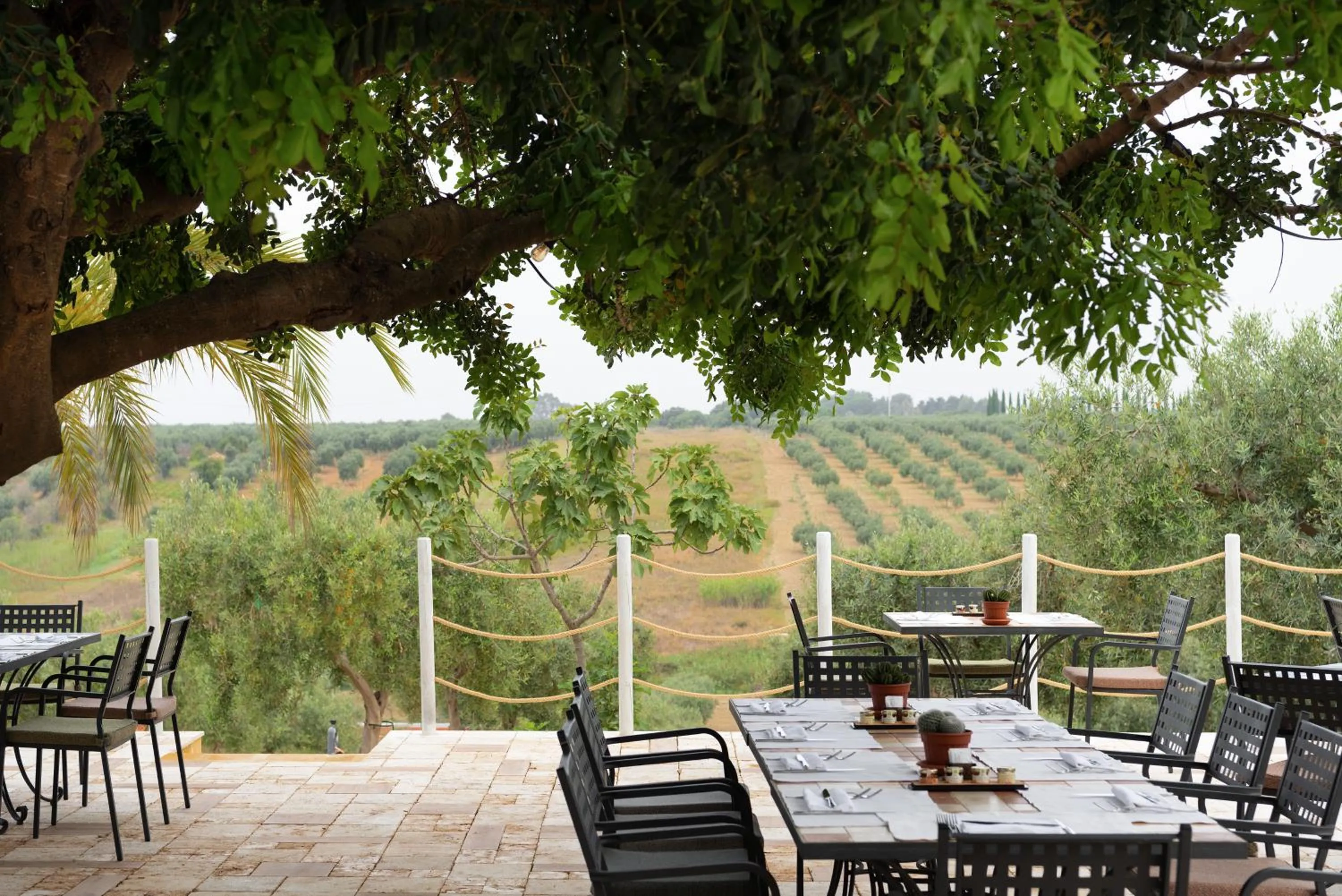 Restaurant/places to eat in Momentum Wellness Bioresort