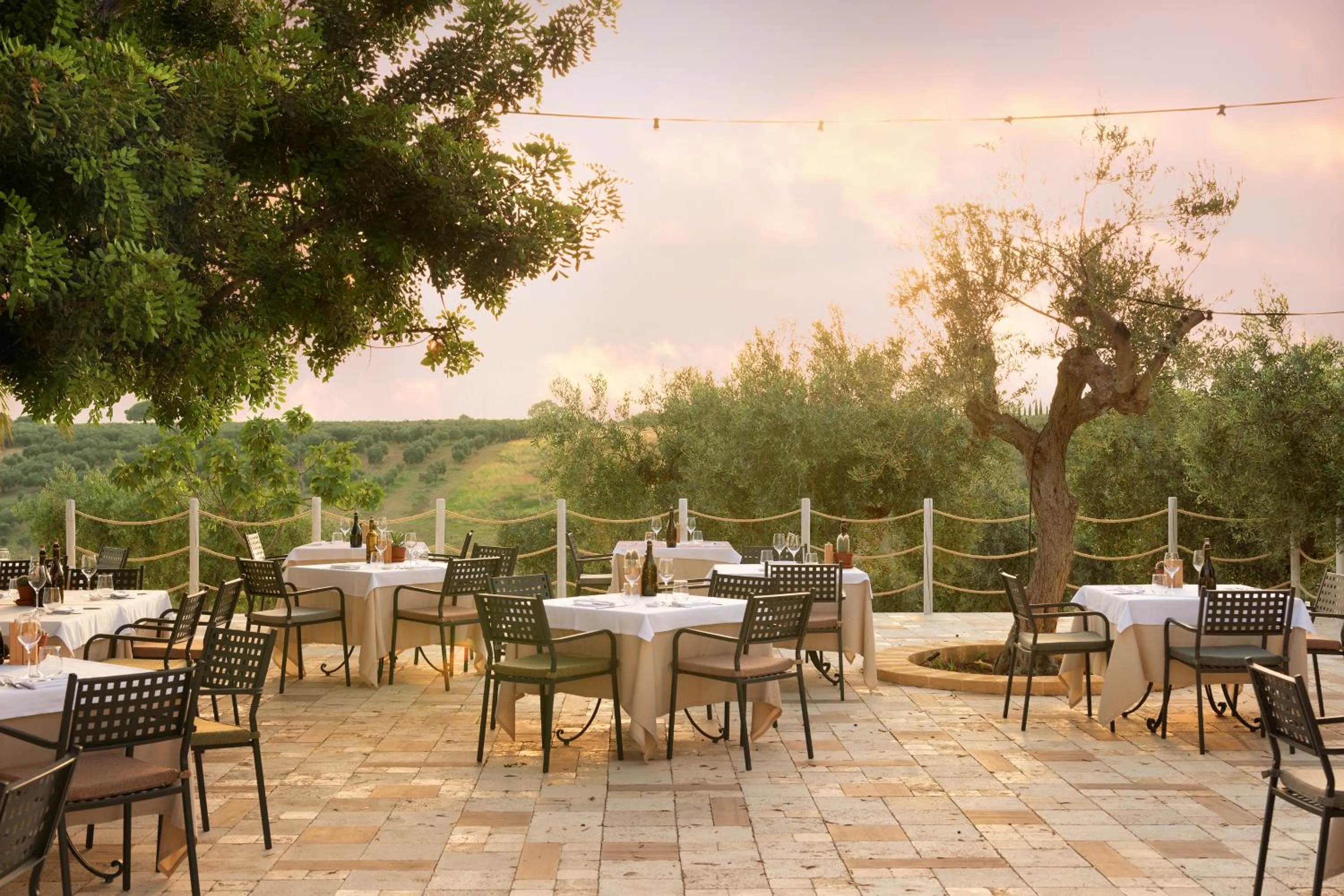 Restaurant/places to eat in Momentum Wellness Bioresort