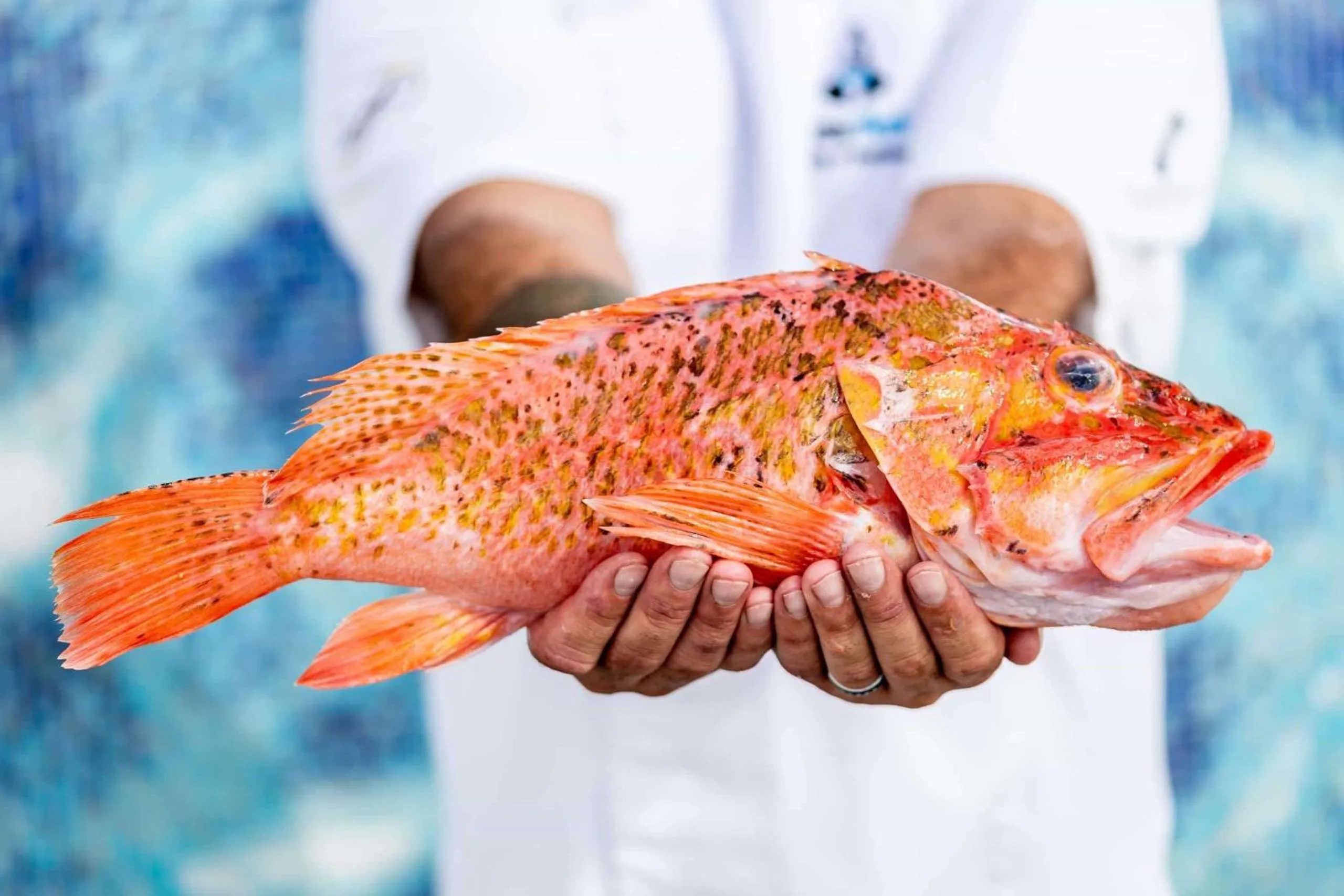 Restaurant/places to eat in Royal Hideaway Corales Suites