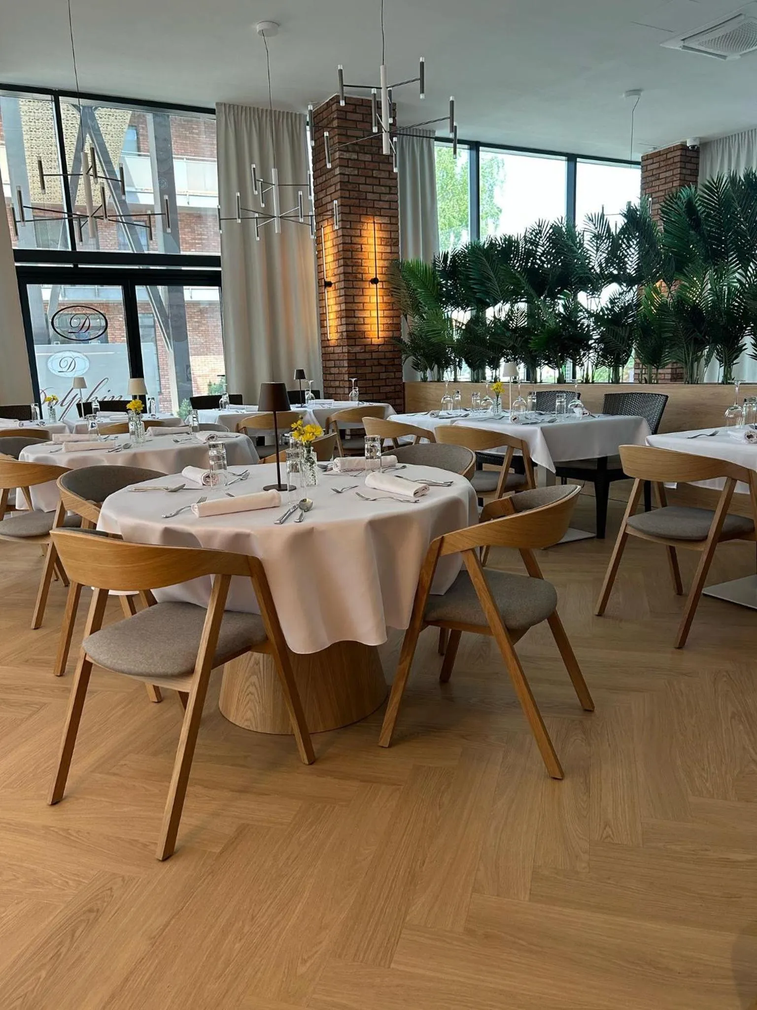 Restaurant/places to eat in Hotel Dolphin - Adult friendly