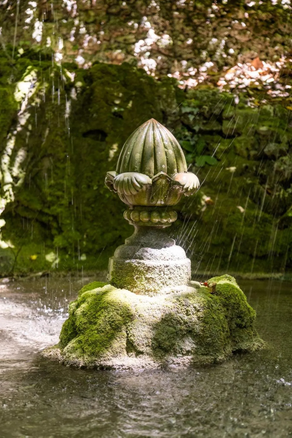 Natural landscape in Domaine Les Sources de Dieulefit
