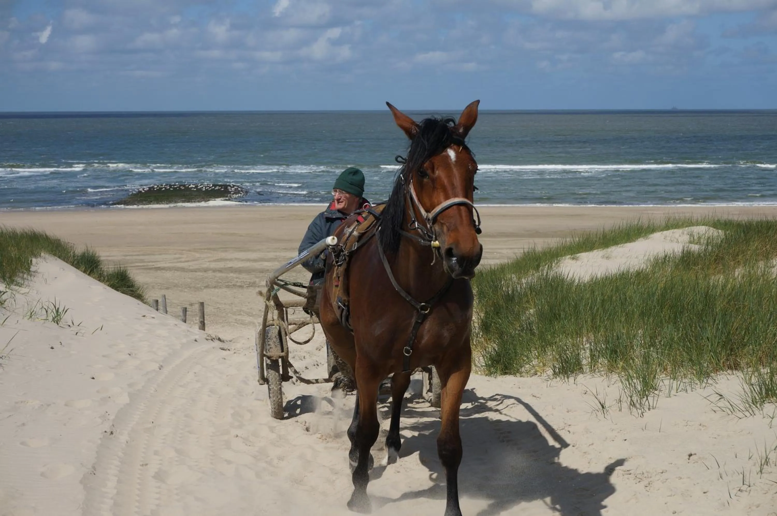 Beach in Bed & Breakfast aan Zee