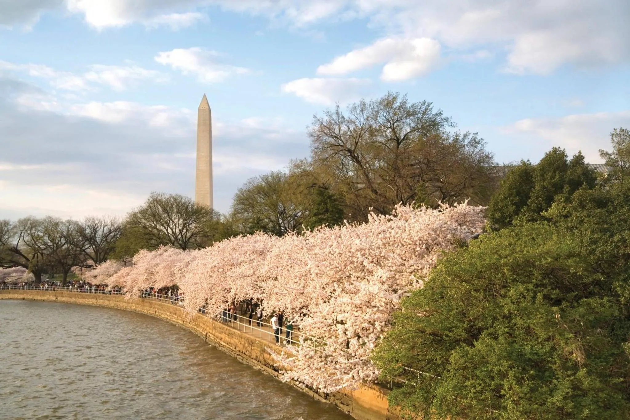 Club Wyndham National Harbor