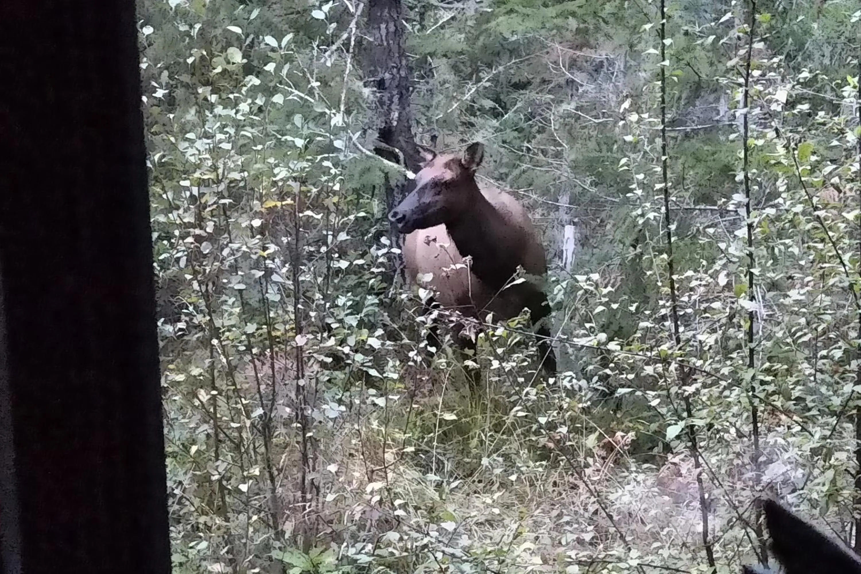 Natural landscape in The Cabin at Moon Dance