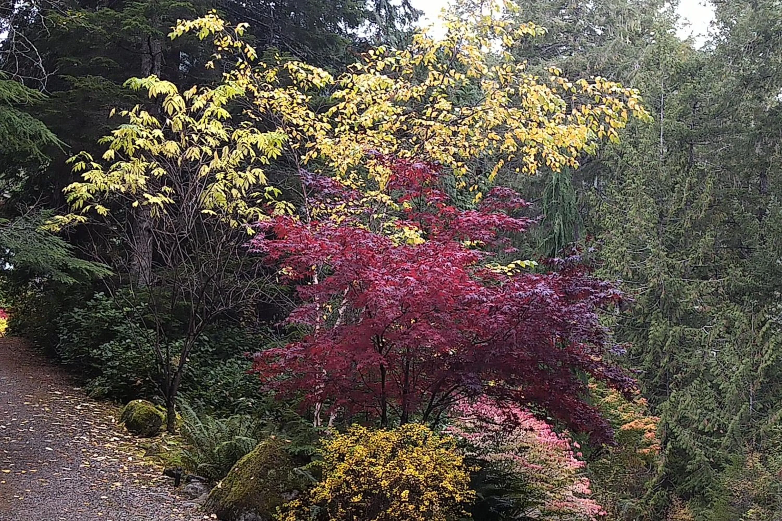 Natural landscape in The Cabin at Moon Dance
