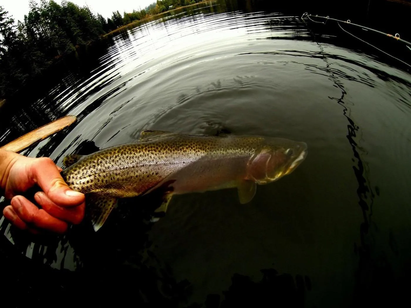 Activities in The Cabin at Moon Dance