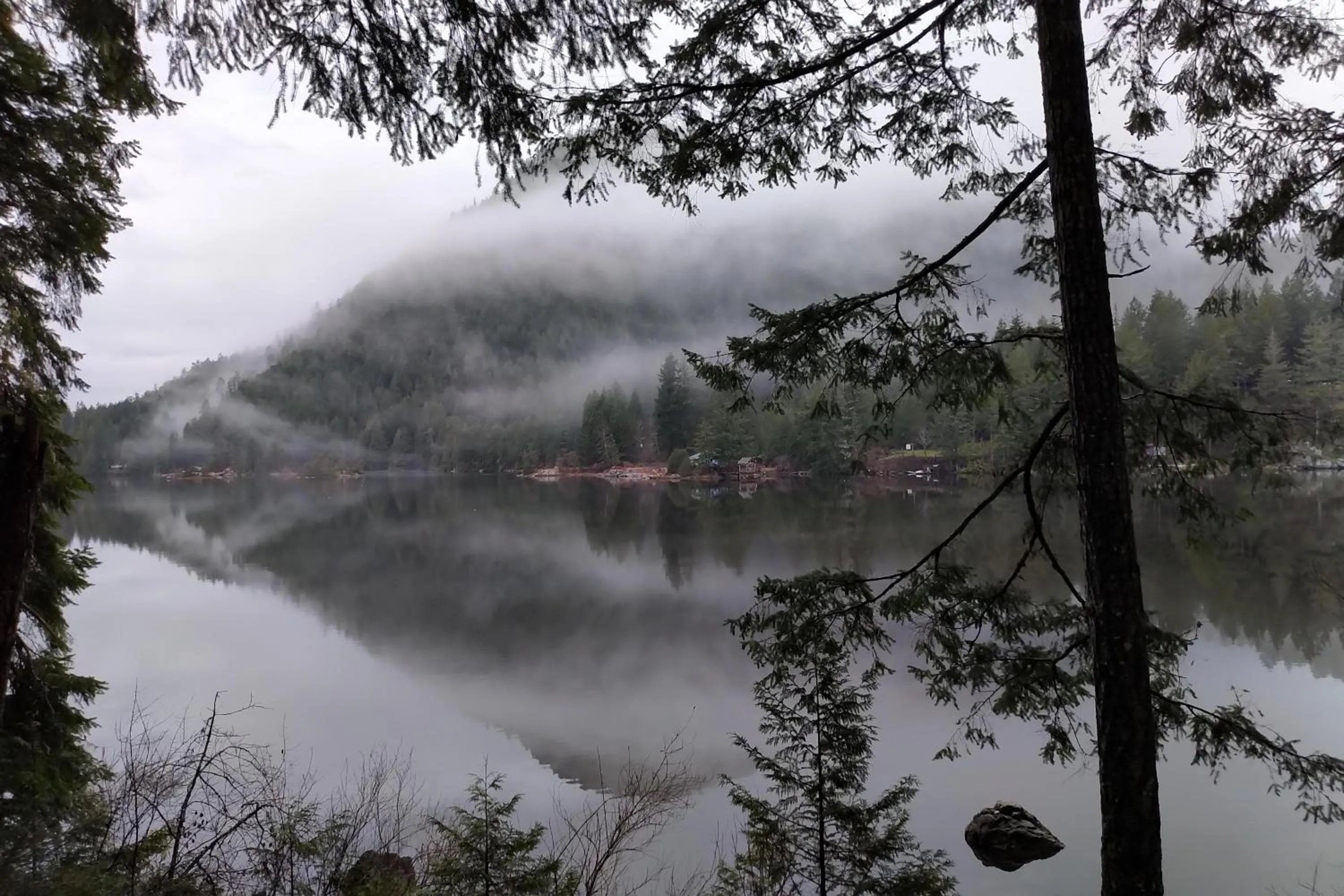 View (from property/room) in The Cabin at Moon Dance