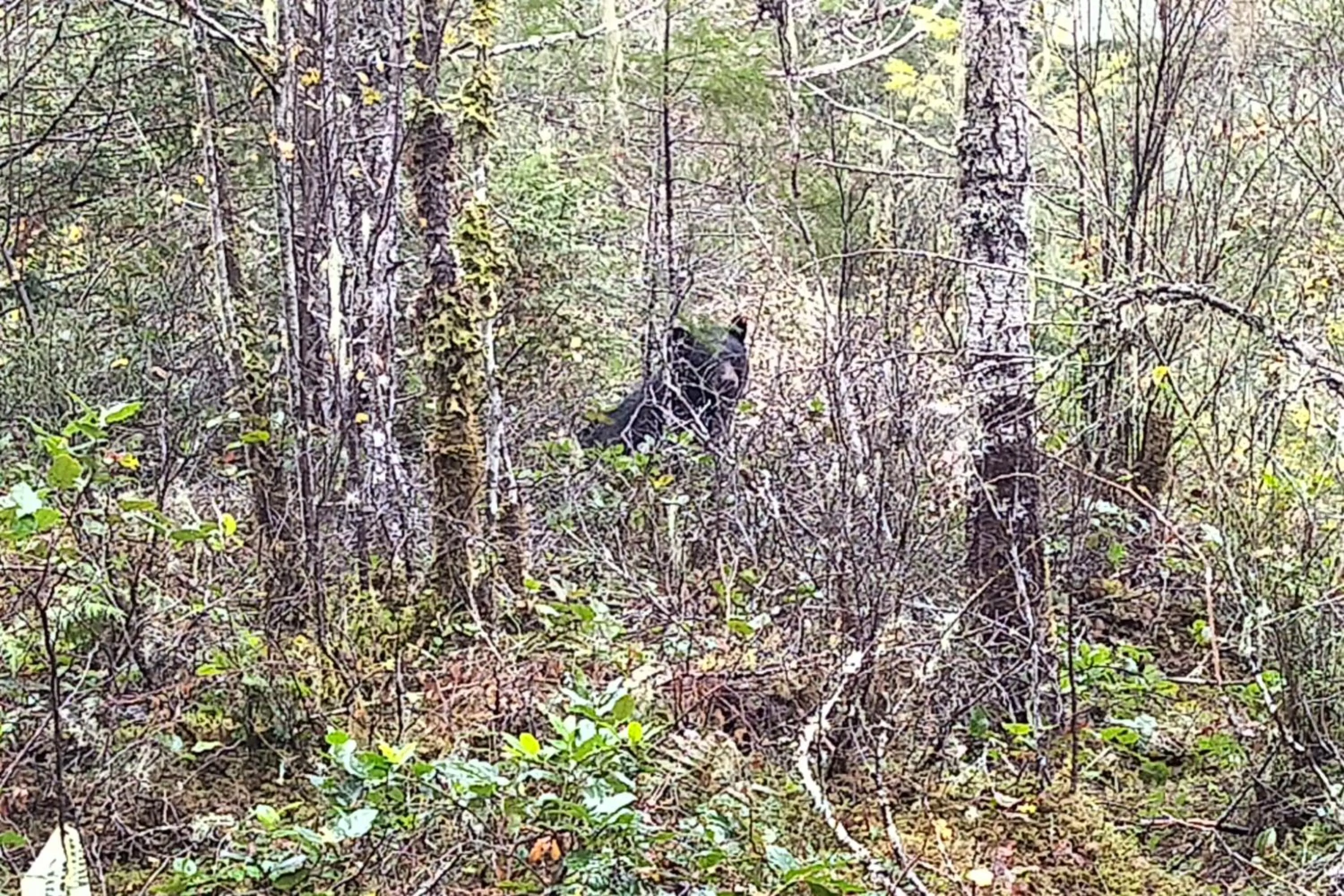 Natural landscape in The Cabin at Moon Dance