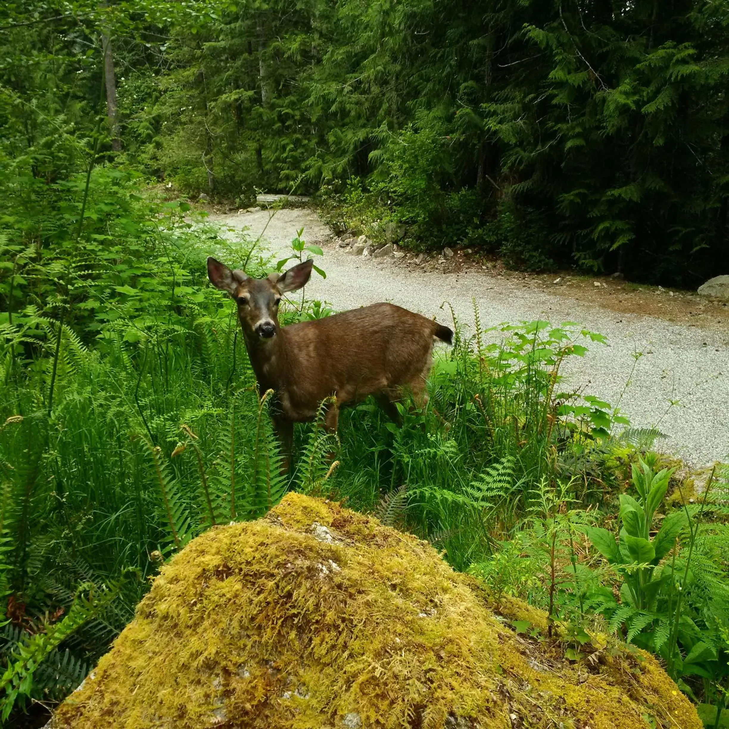 Natural landscape in The Cabin at Moon Dance