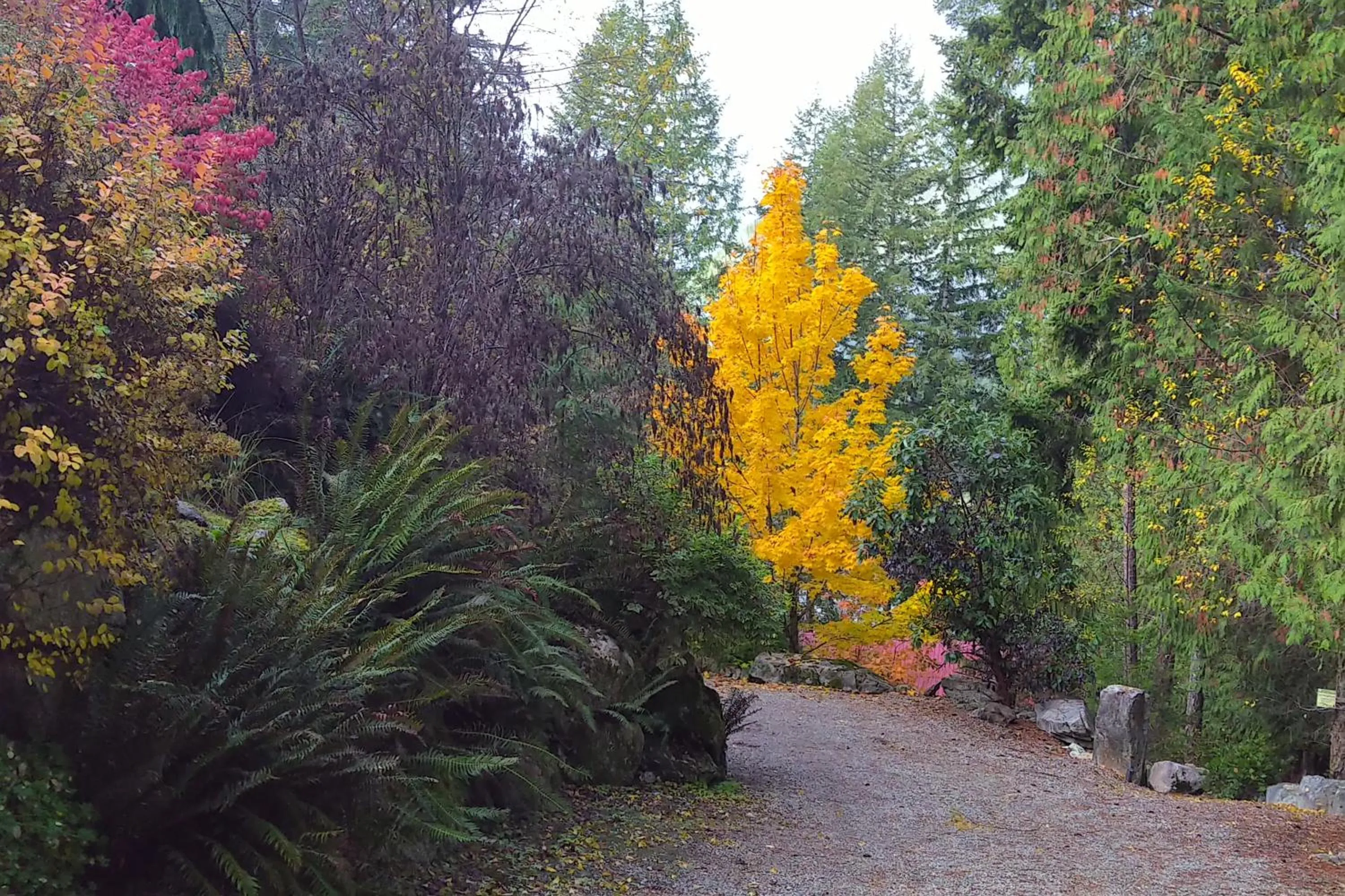 Natural landscape in The Cabin at Moon Dance