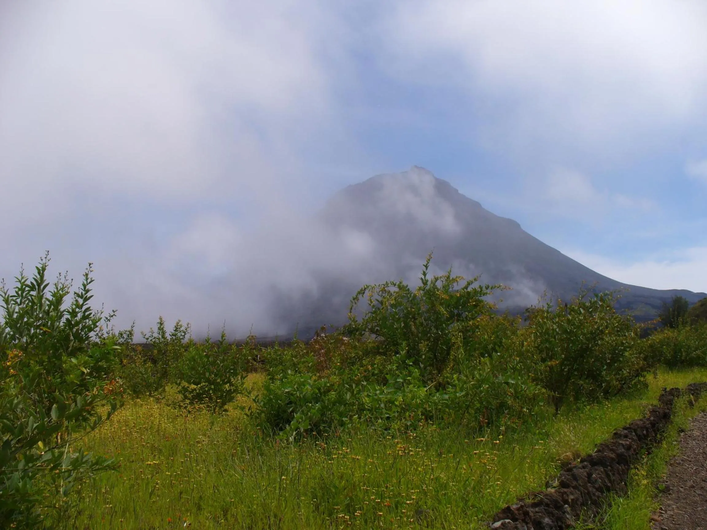 Natural landscape in Hotel Ocean View & Restaurante Seafood