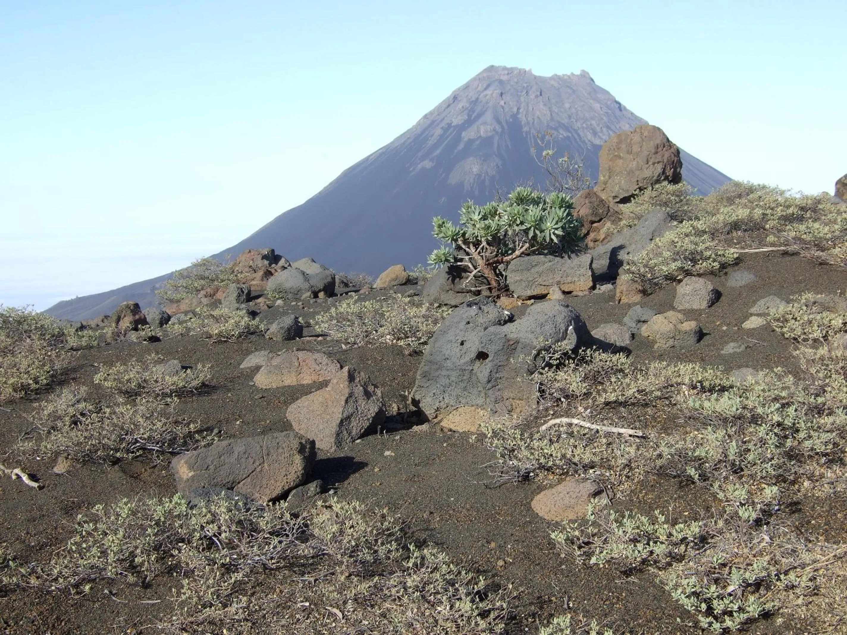 Natural landscape in Hotel Ocean View & Restaurante Seafood