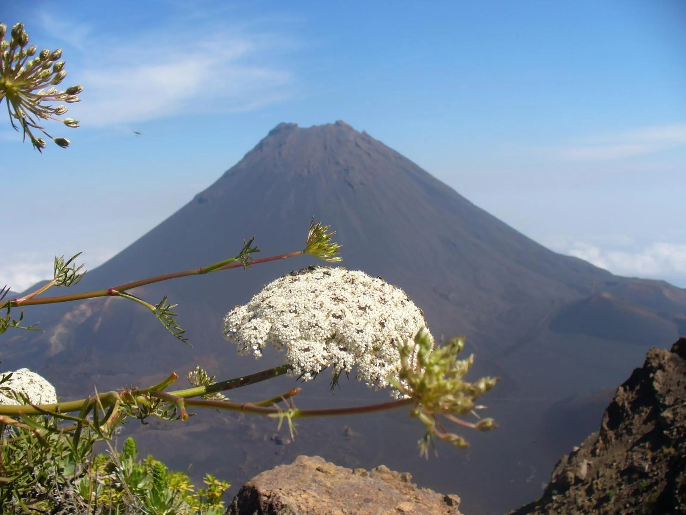 Natural landscape in Hotel Ocean View & Restaurante Seafood