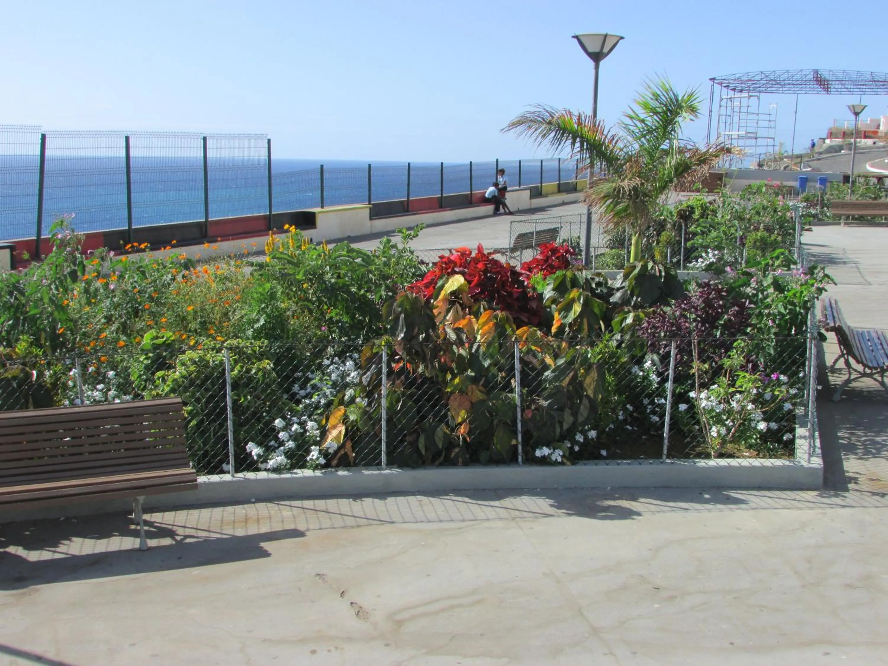 Neighbourhood in Hotel Ocean View & Restaurante Seafood