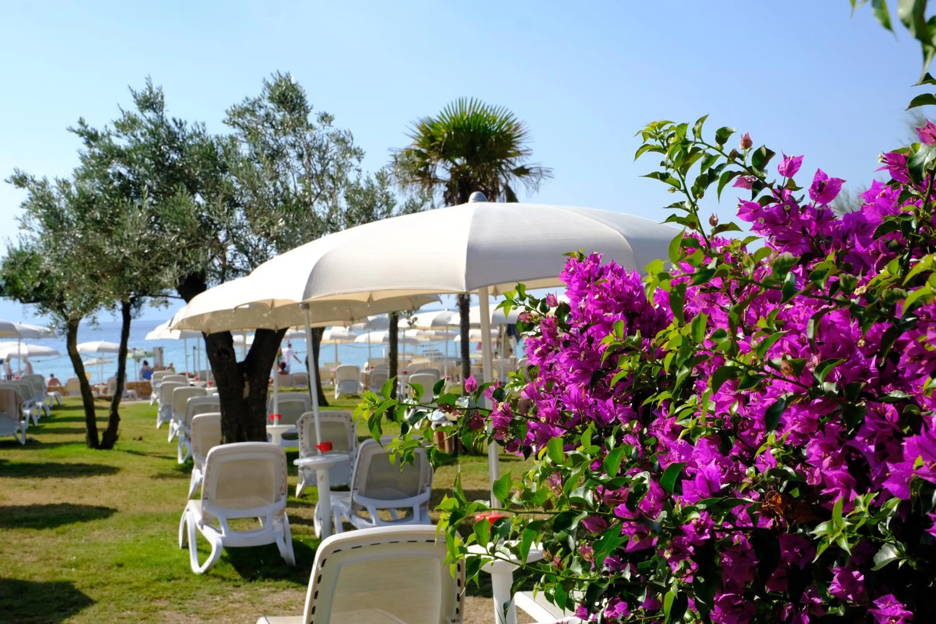 Garden in Baia Caddinas Clubresidence