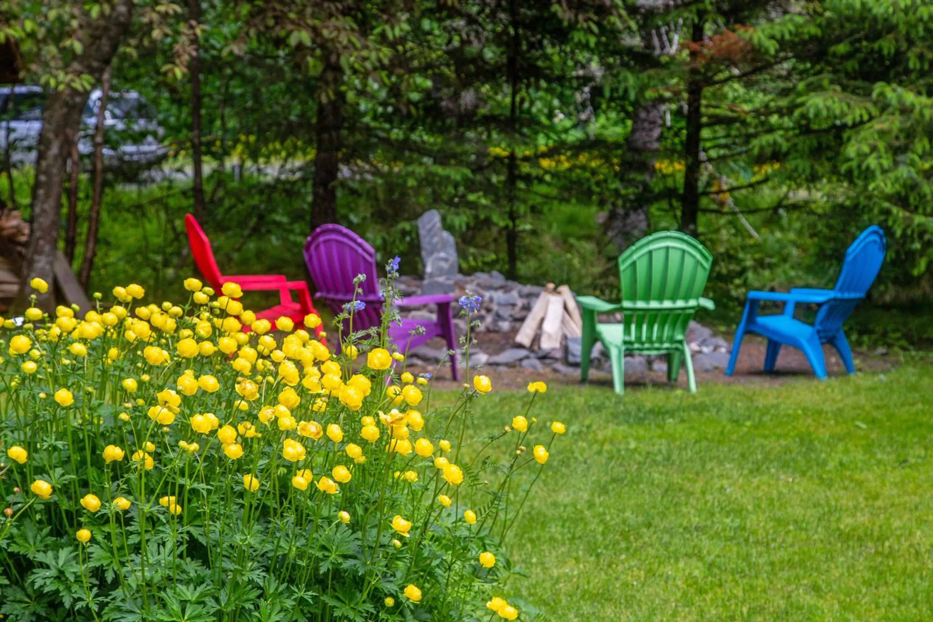 Garden in Steller Inn