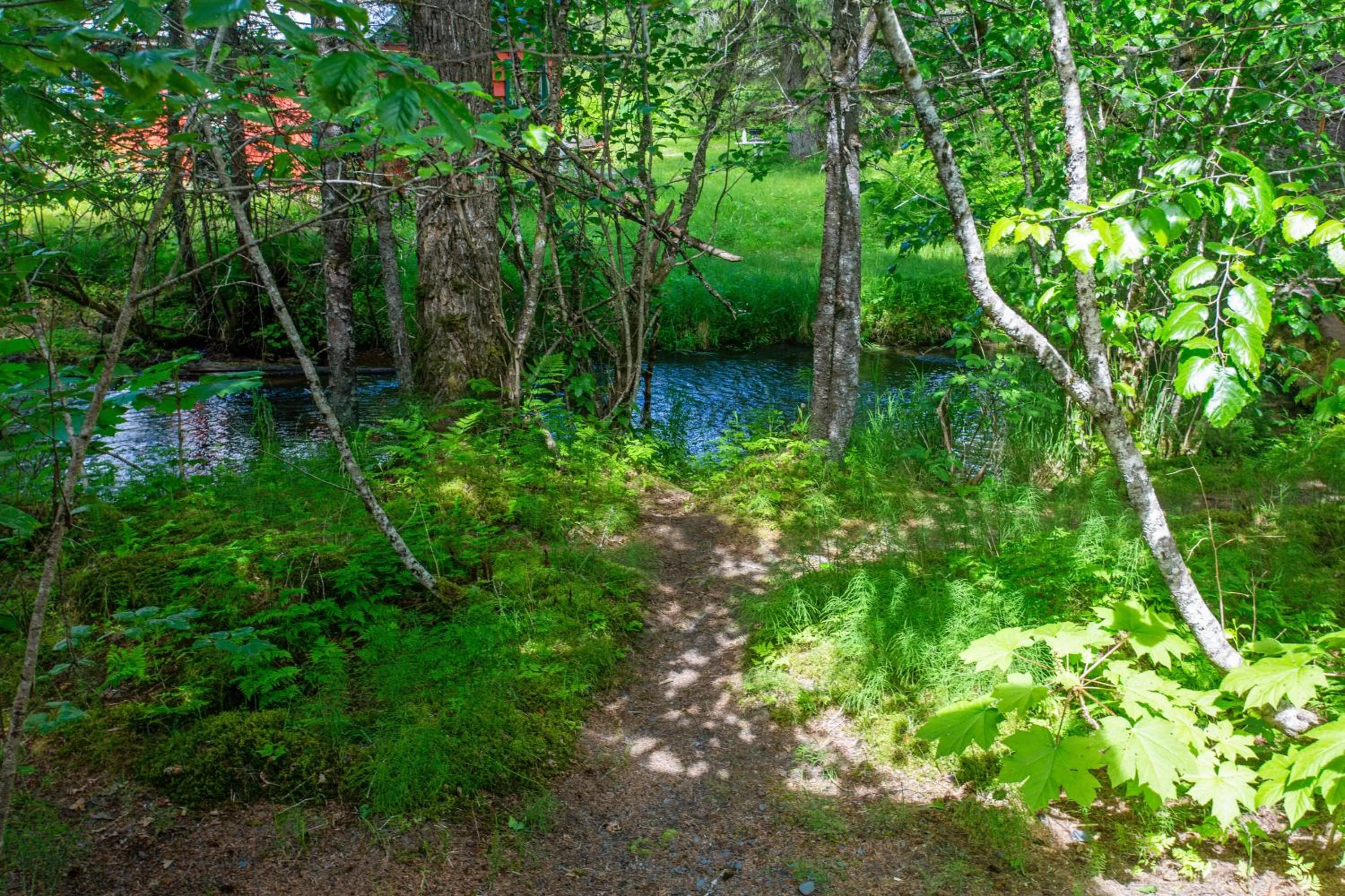 River view in Steller Inn