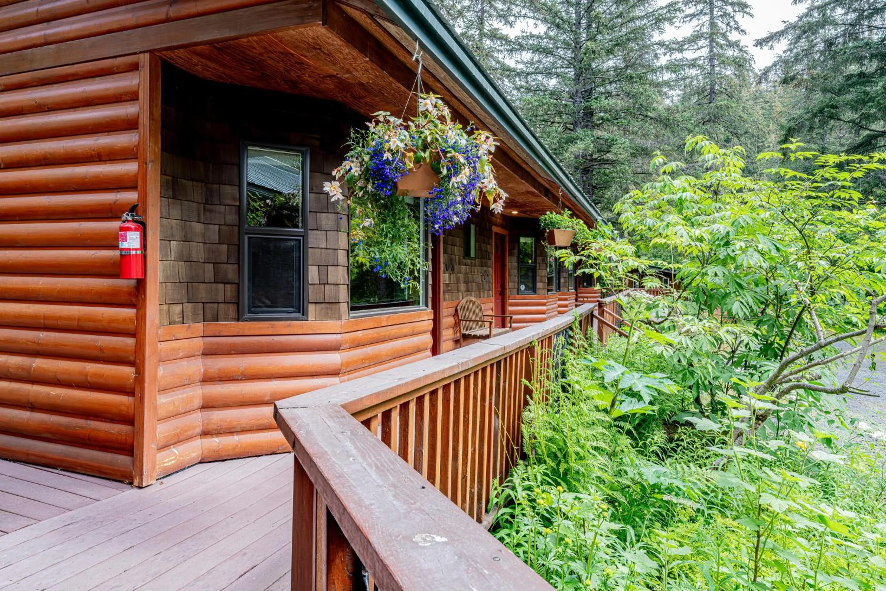Steller Inn