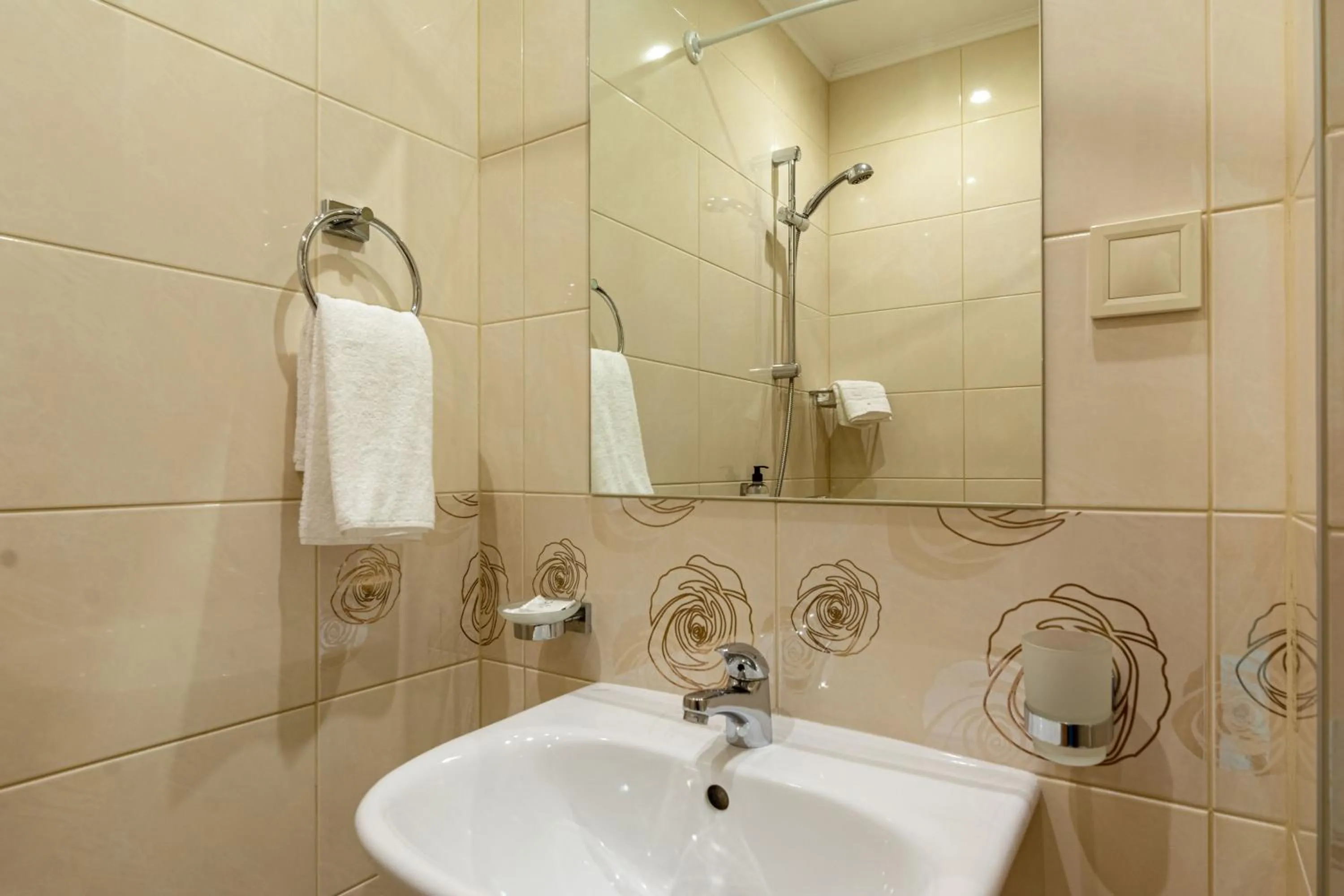 Shower in BSA Gradina Hotel & Aquapark - All Inclusive