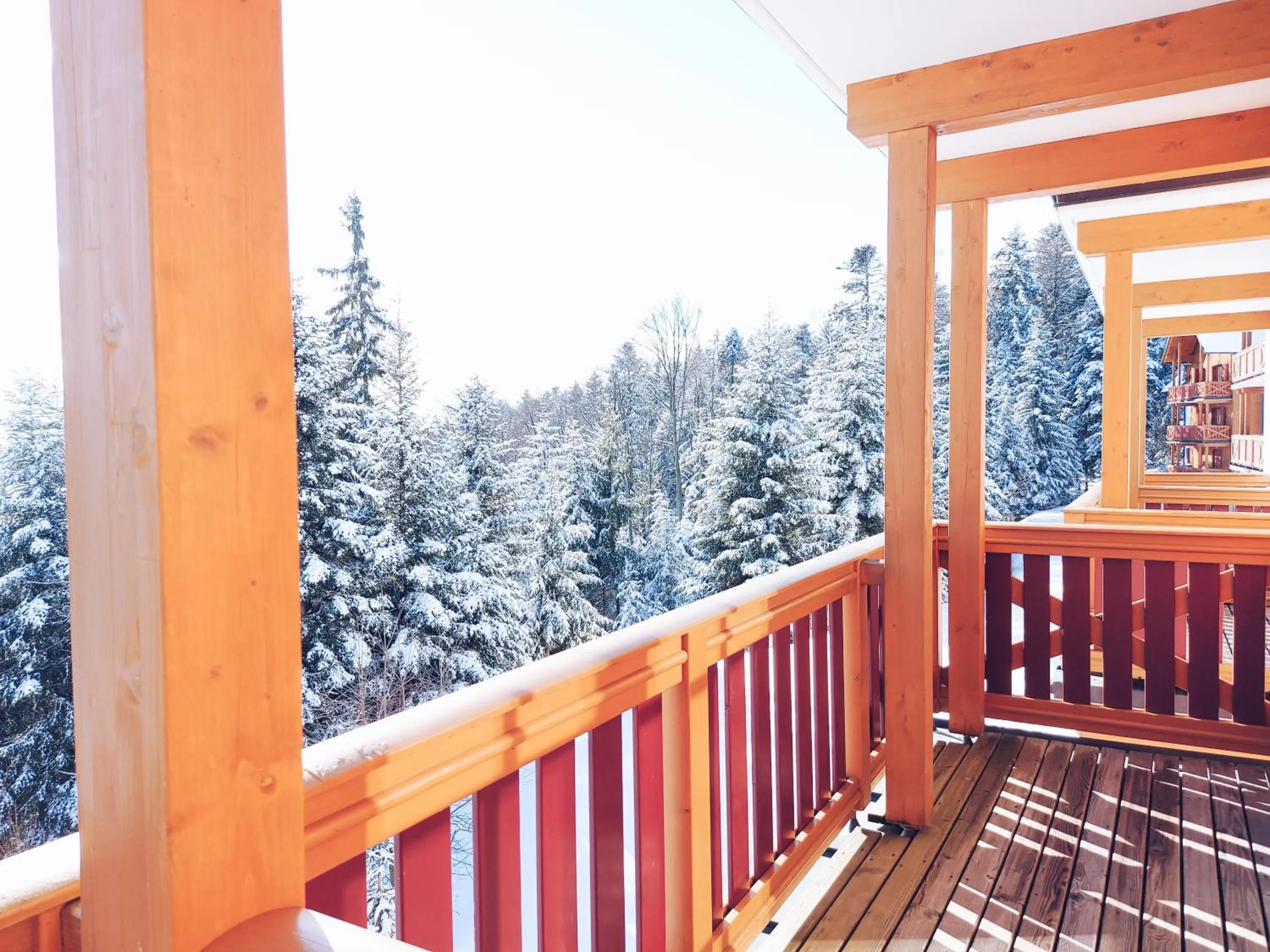 Balcony/Terrace in Pohorje Village Wellbeing Resort - Forest Hotel Videc