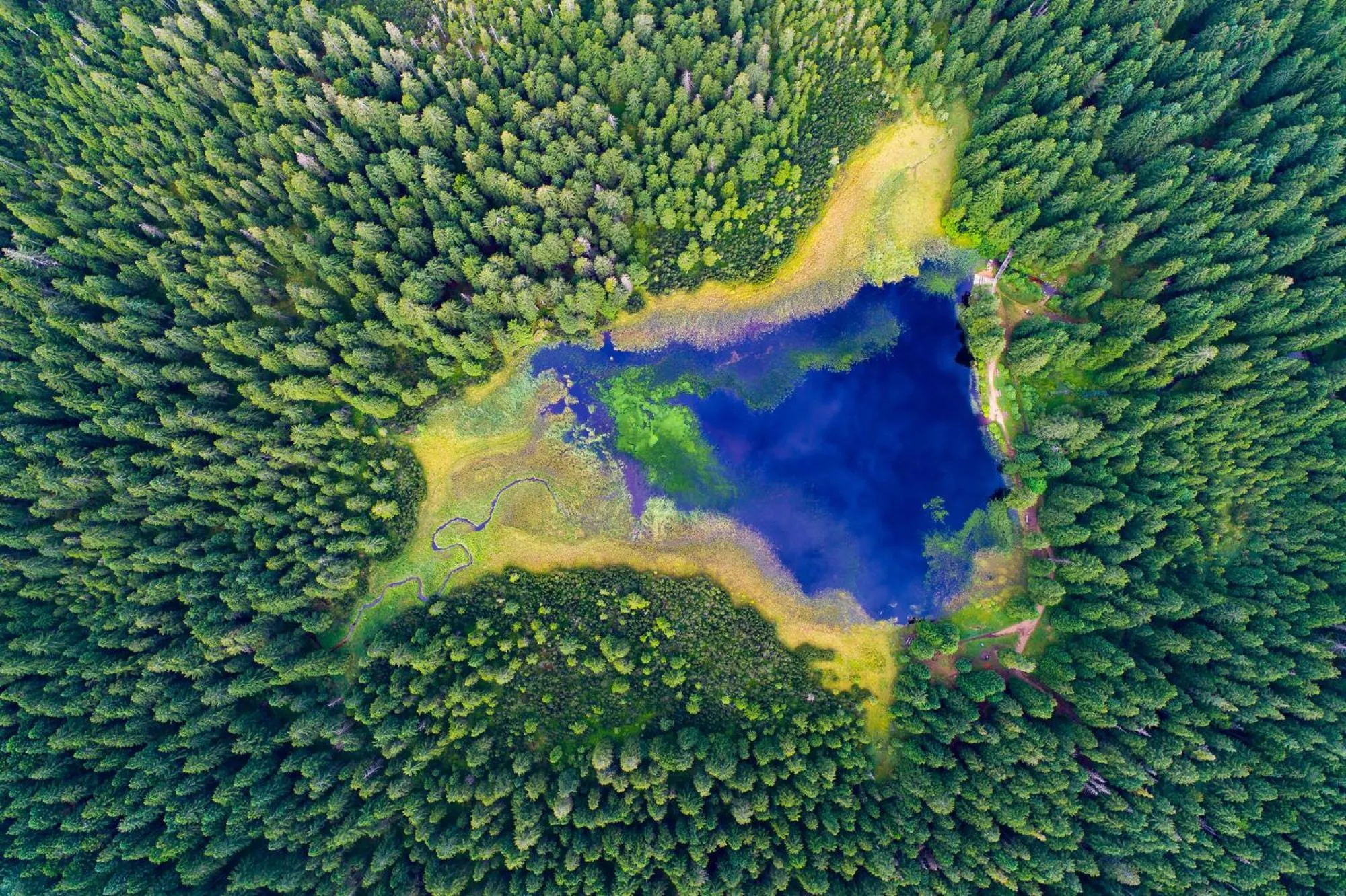 Other in Pohorje Village Wellbeing Resort - Forest Hotel Videc