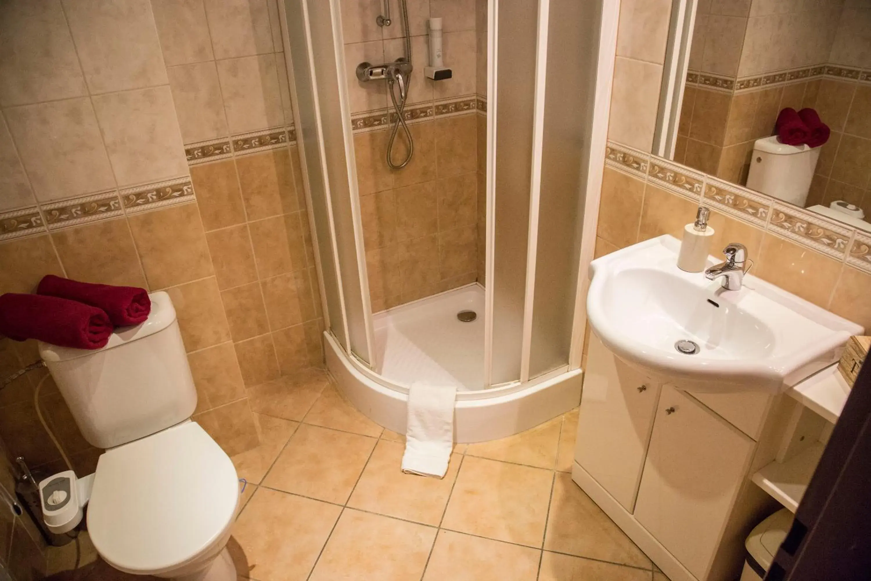 Standard Double Room in Hotel Centrum Harrachov Standard Double Room in Hotel Centrum Harrachov