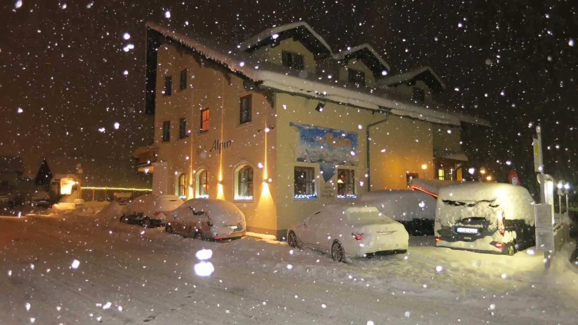 Hotel Alpin Hotel Alpin