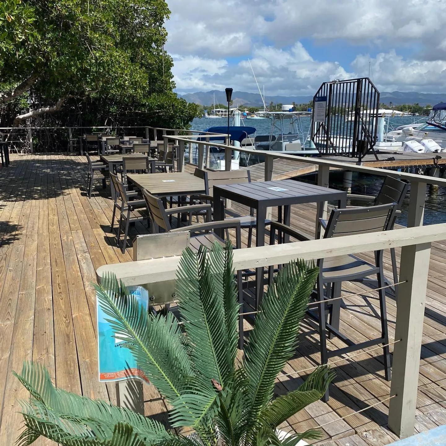 Restaurant/places to eat in Marina de Salinas