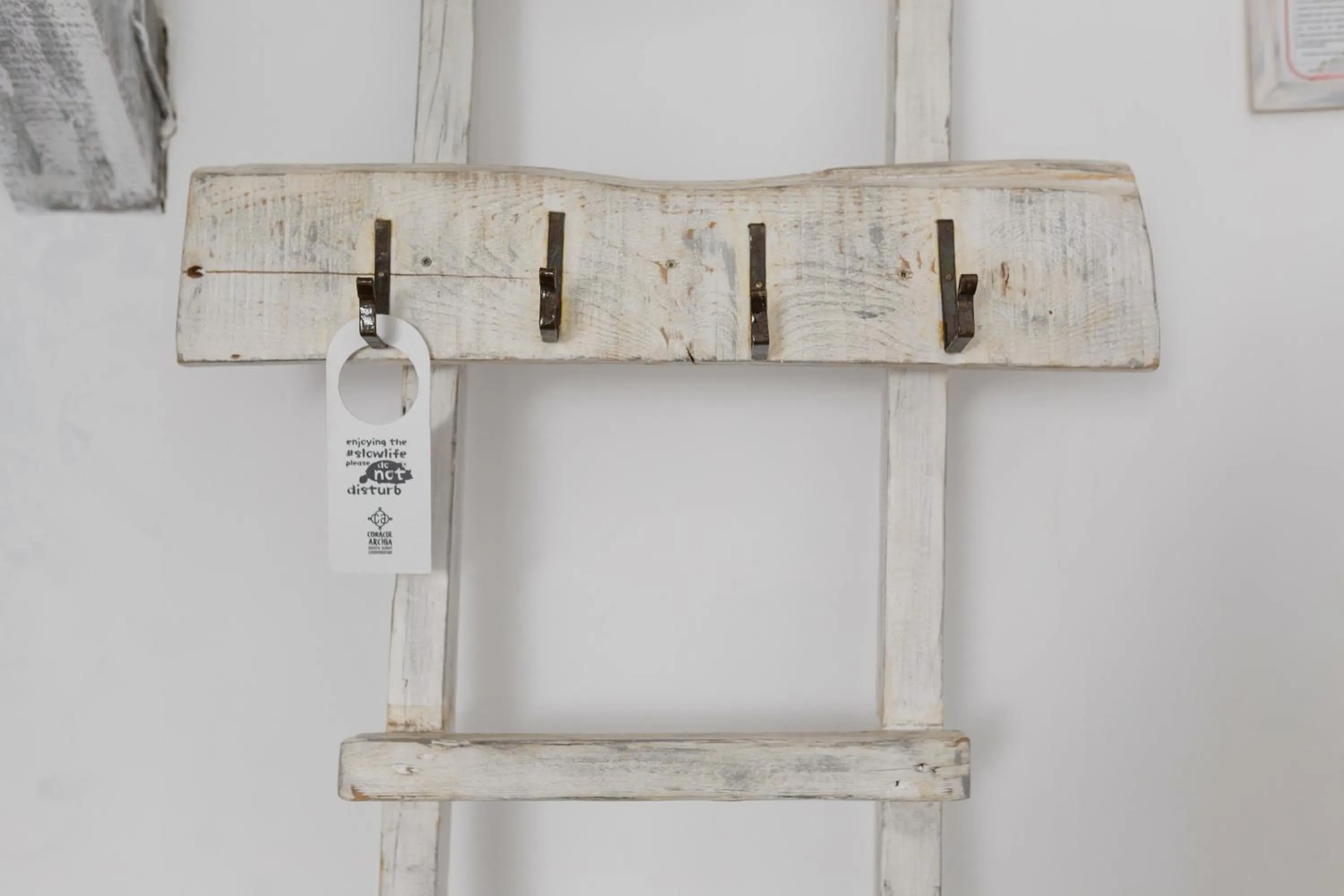 Decorative detail in Conacul Archia