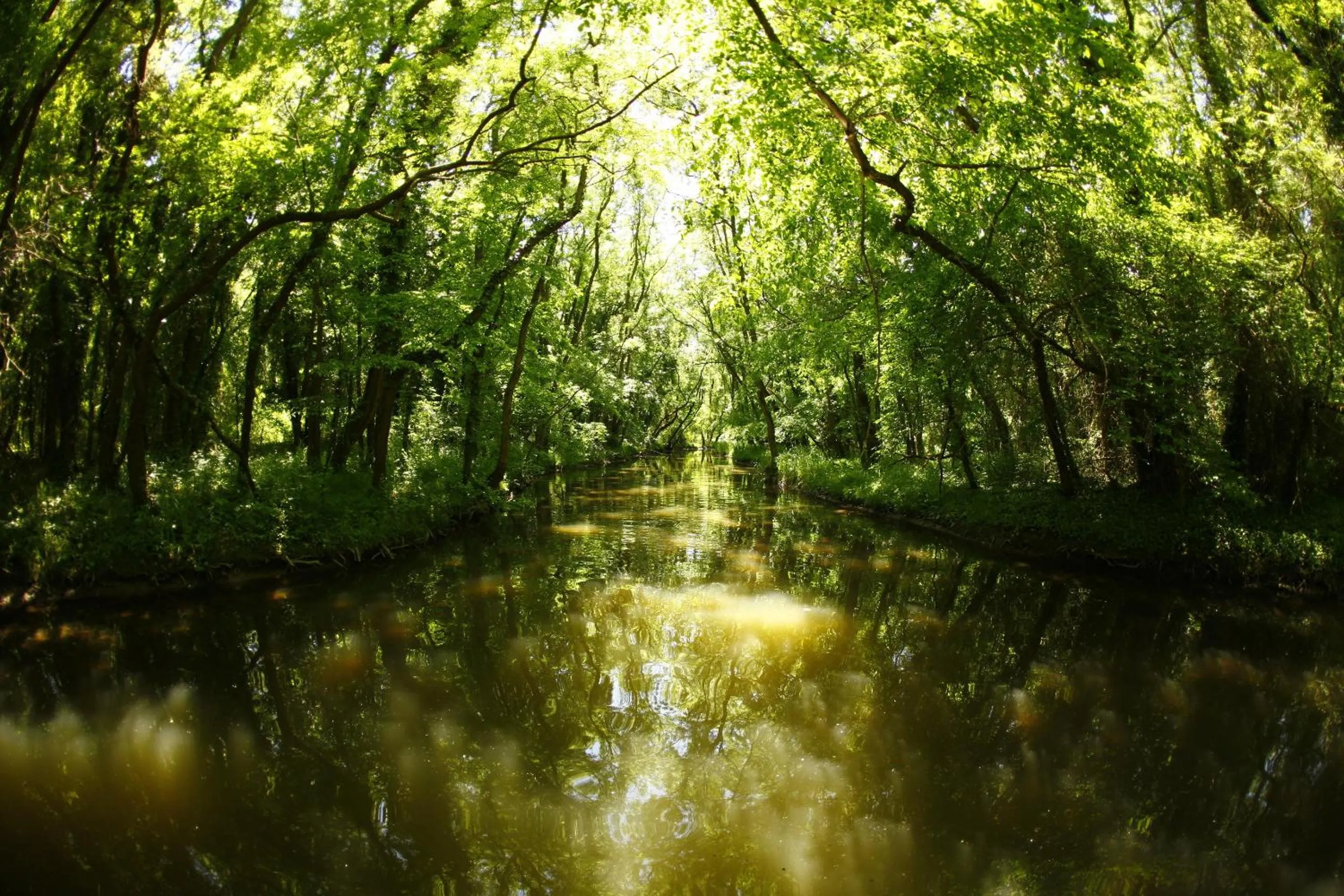 Natural landscape in Hotel Slavuna