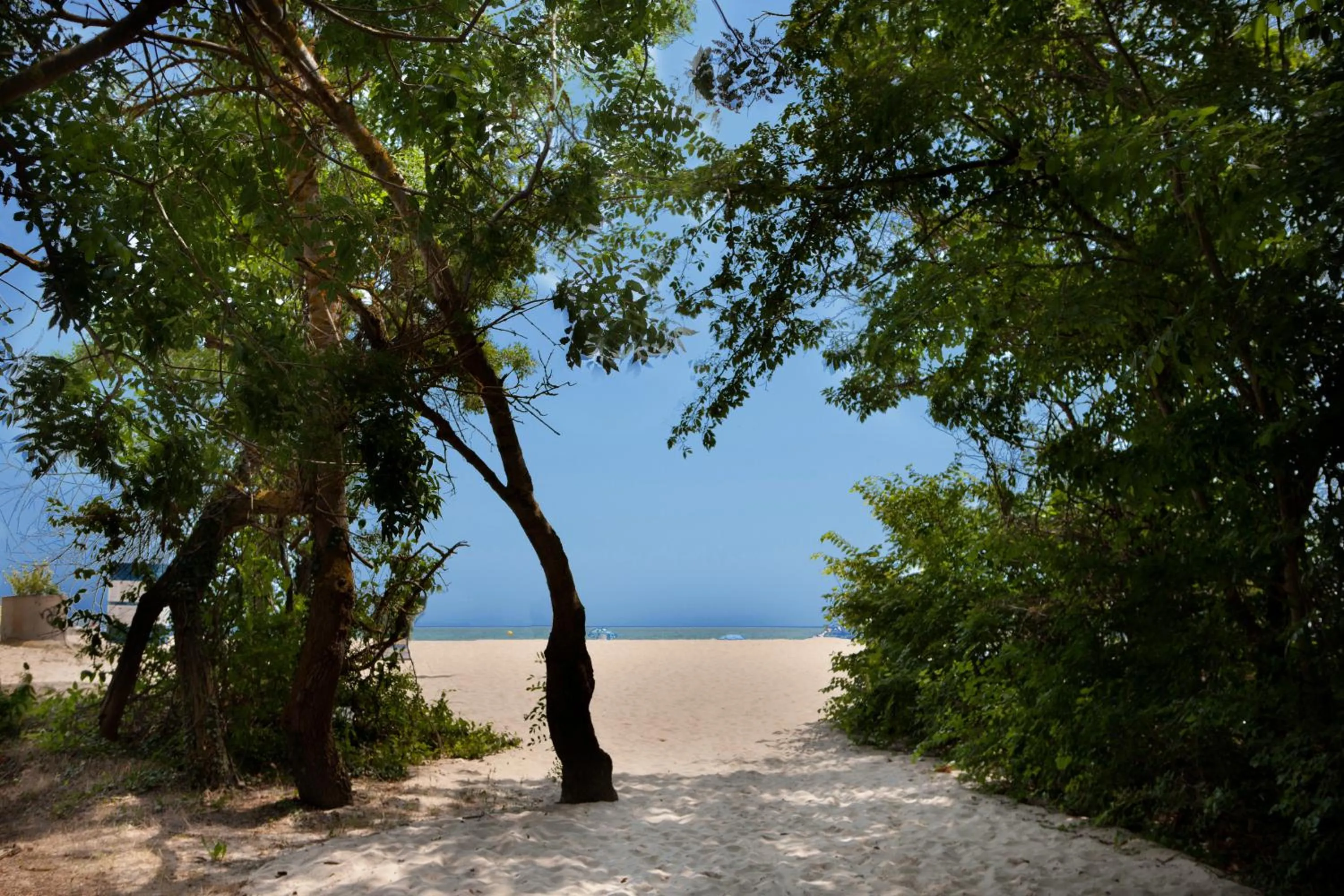 Natural landscape in Hotel Slavuna