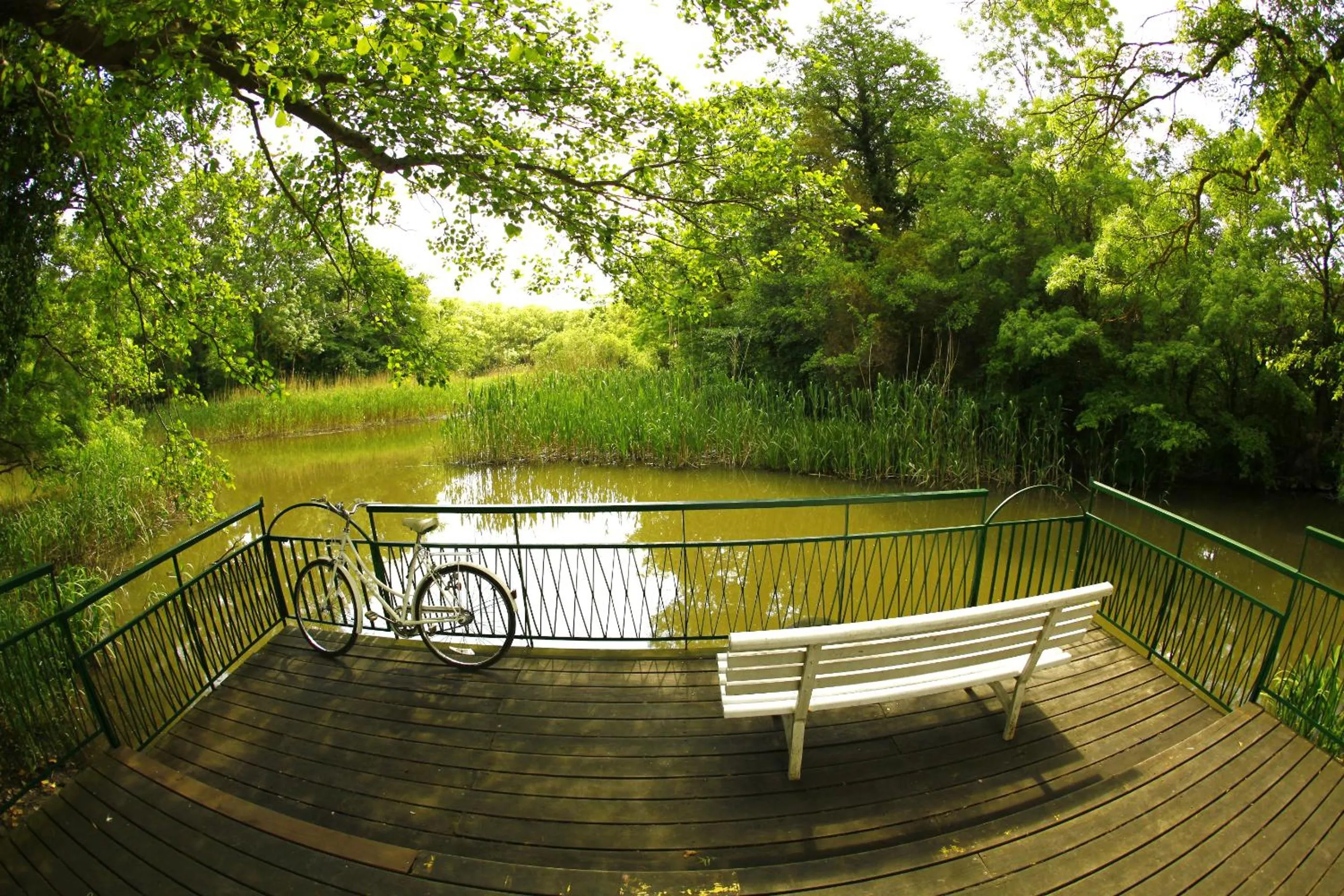 Natural landscape in Hotel Slavuna