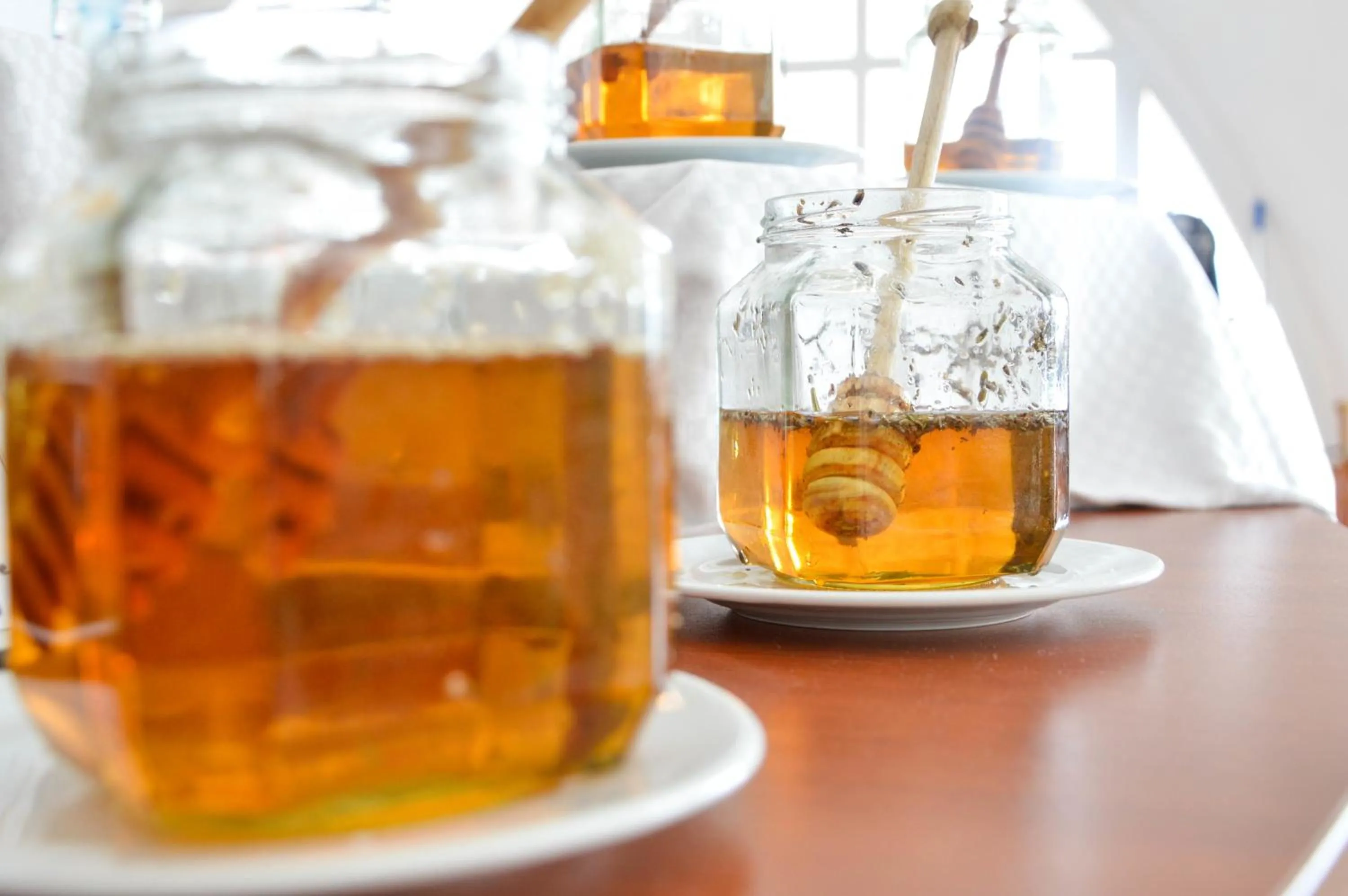 Food and drinks in Hotel Elitsa