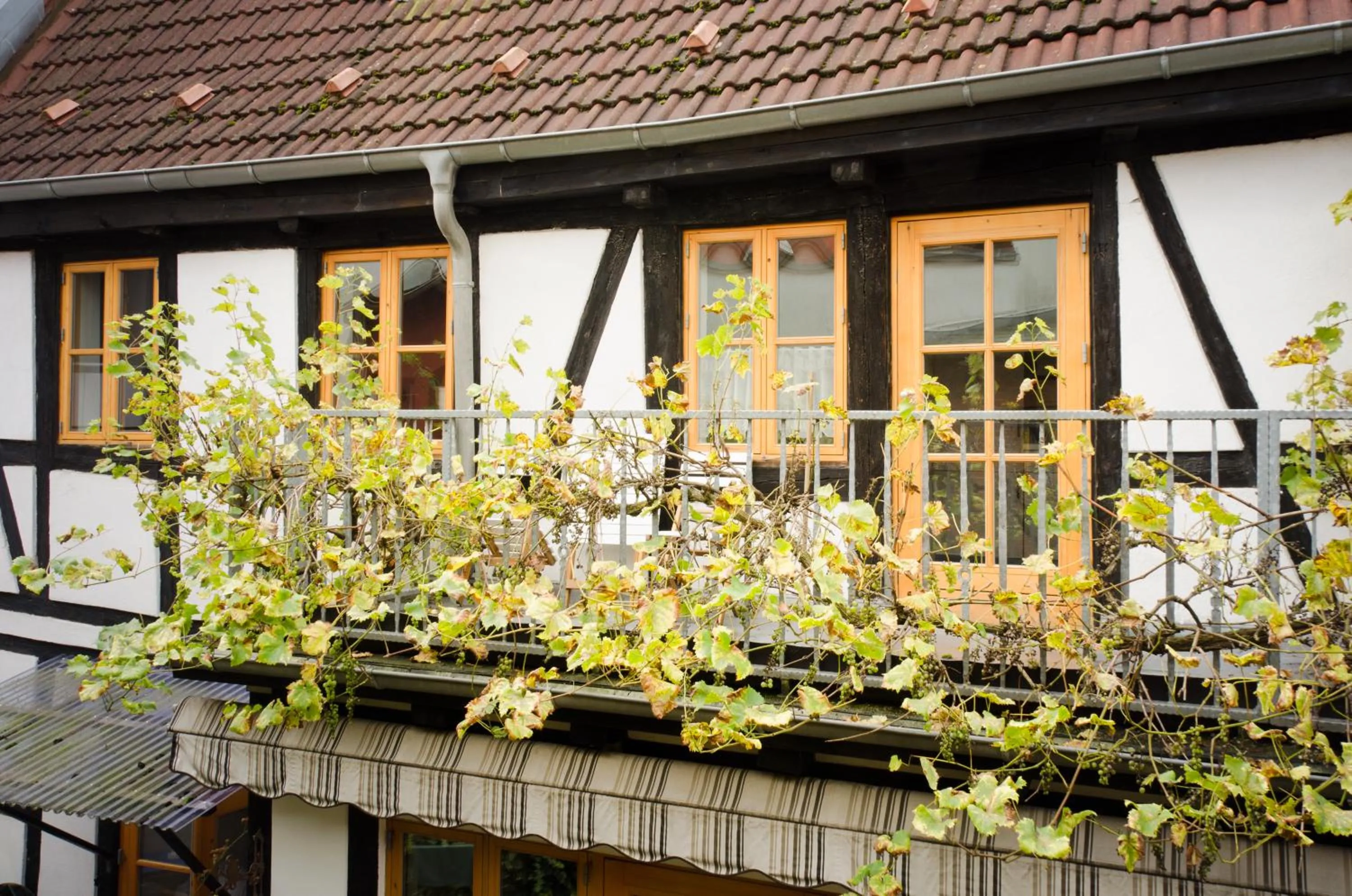 Property building in Herberge KAFFETIET